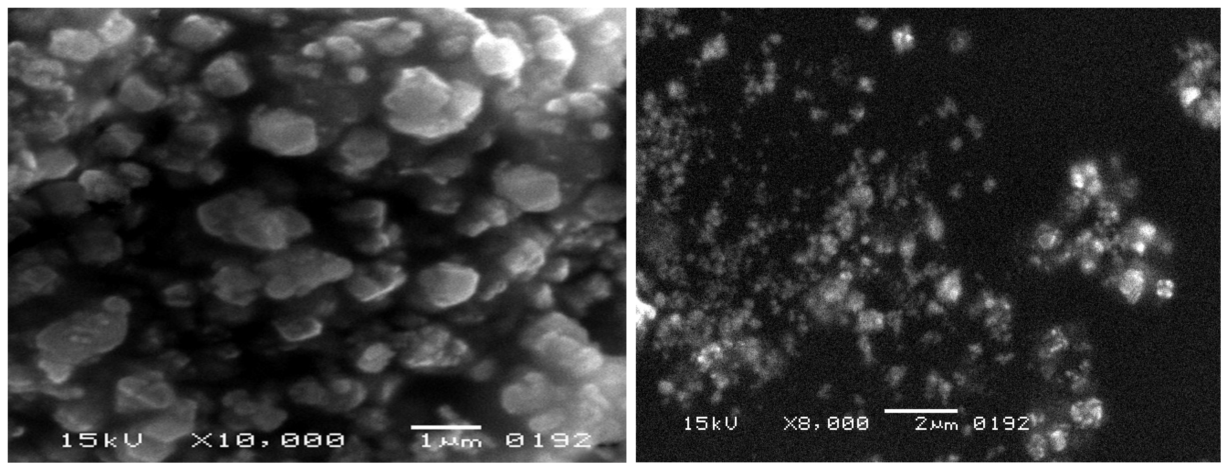 Molecules 28 06504 g004