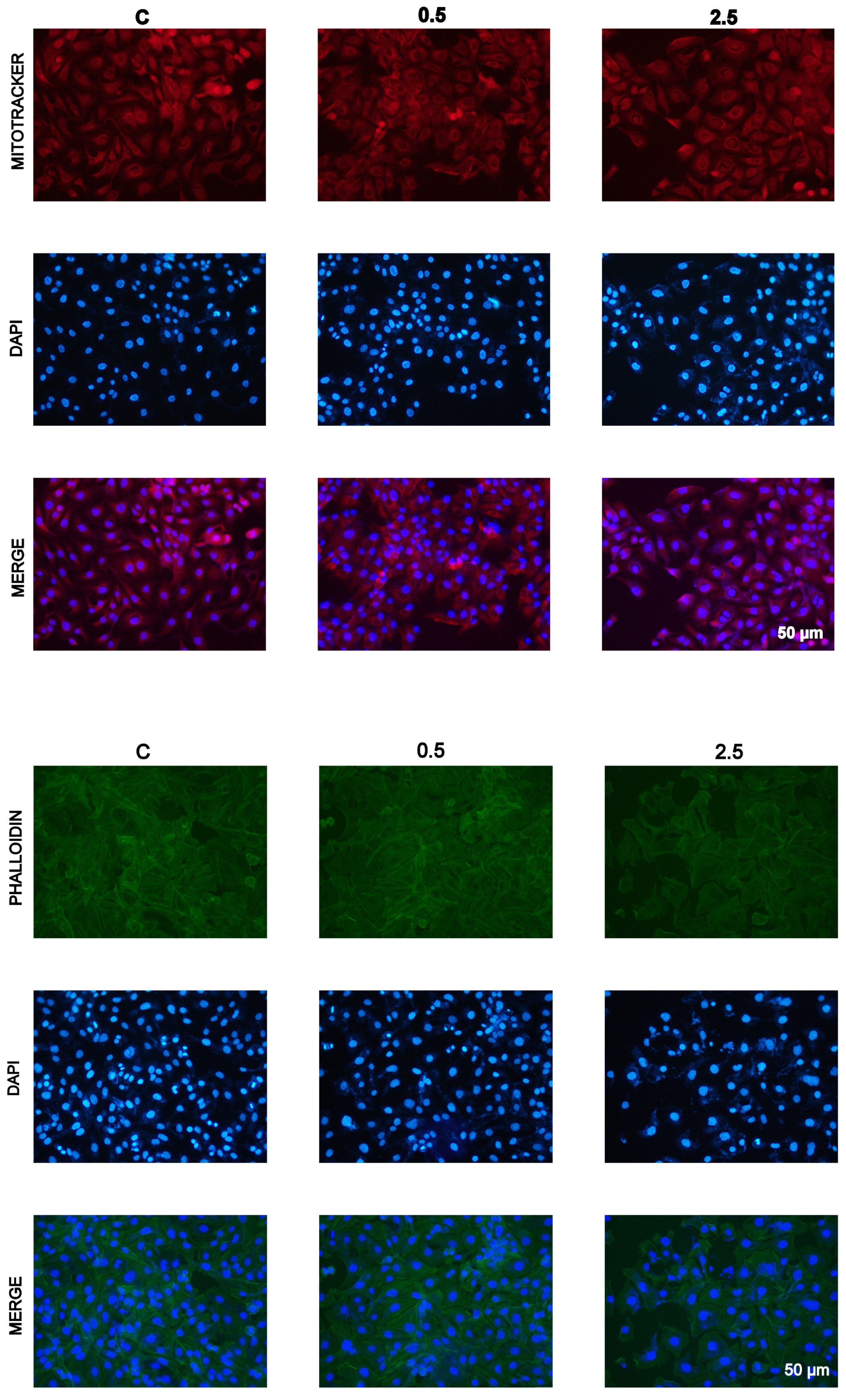 Molecules 28 06512 g003