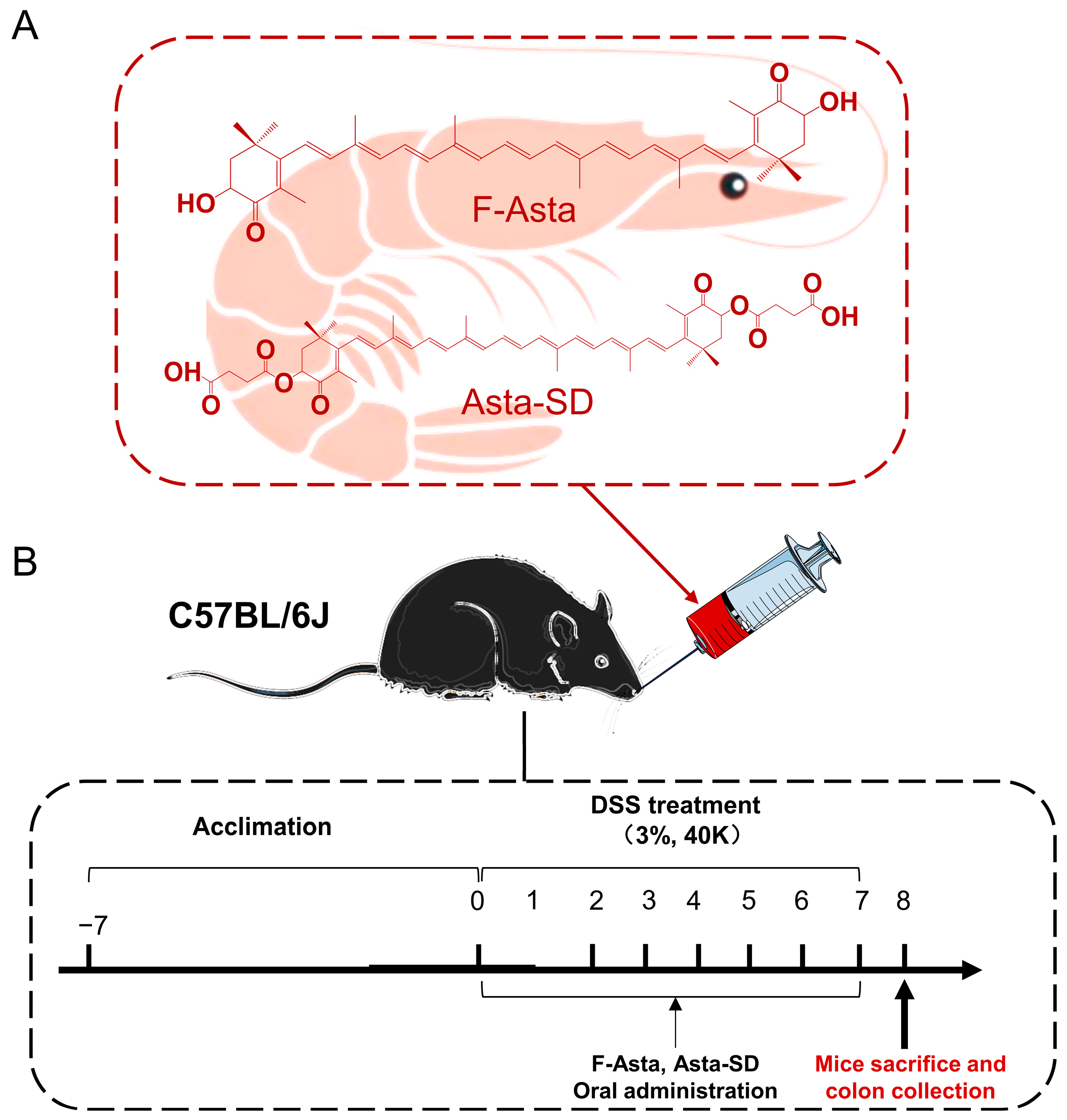 Molecules 28 06513 g001