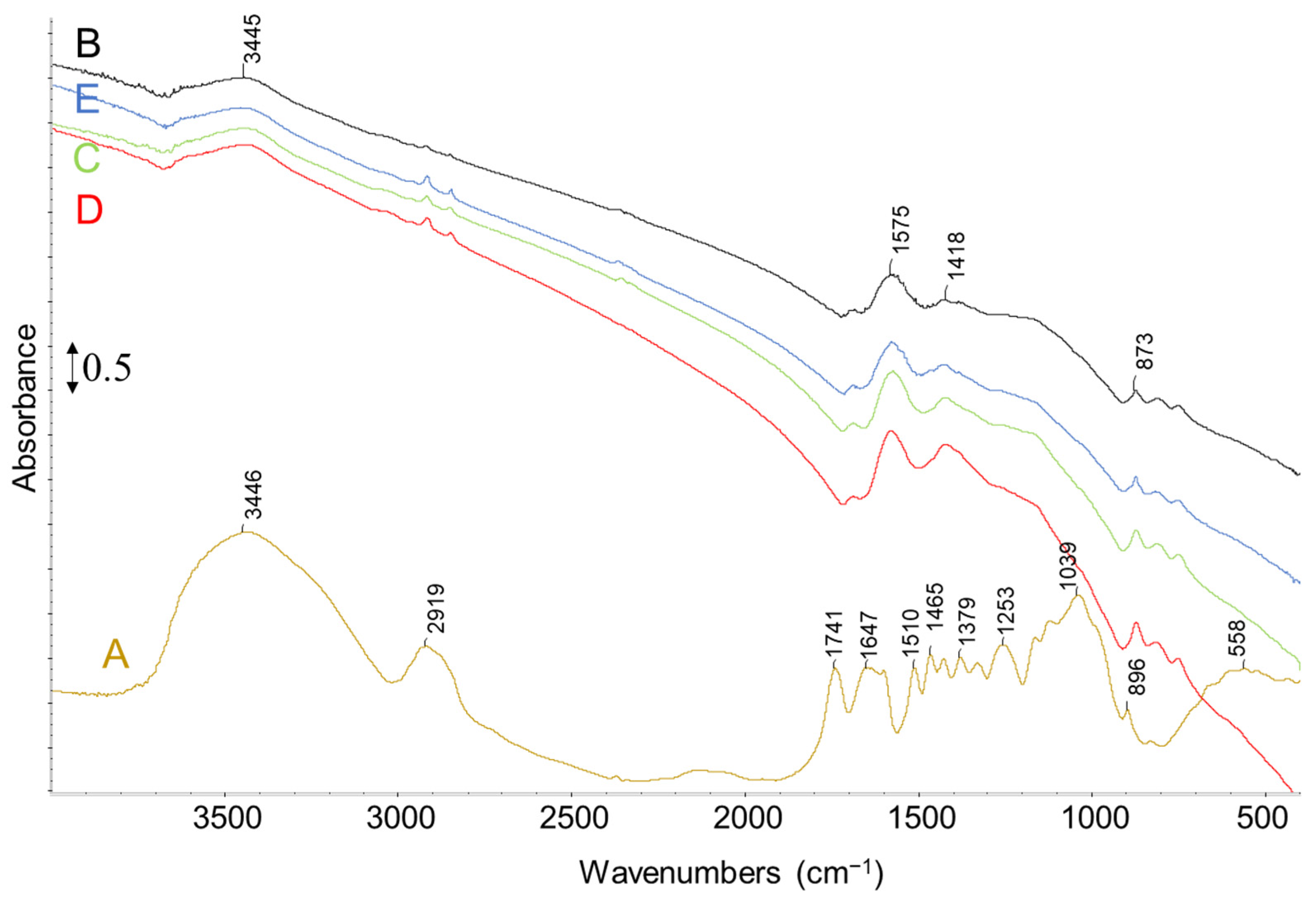 Molecules 28 06516 g011