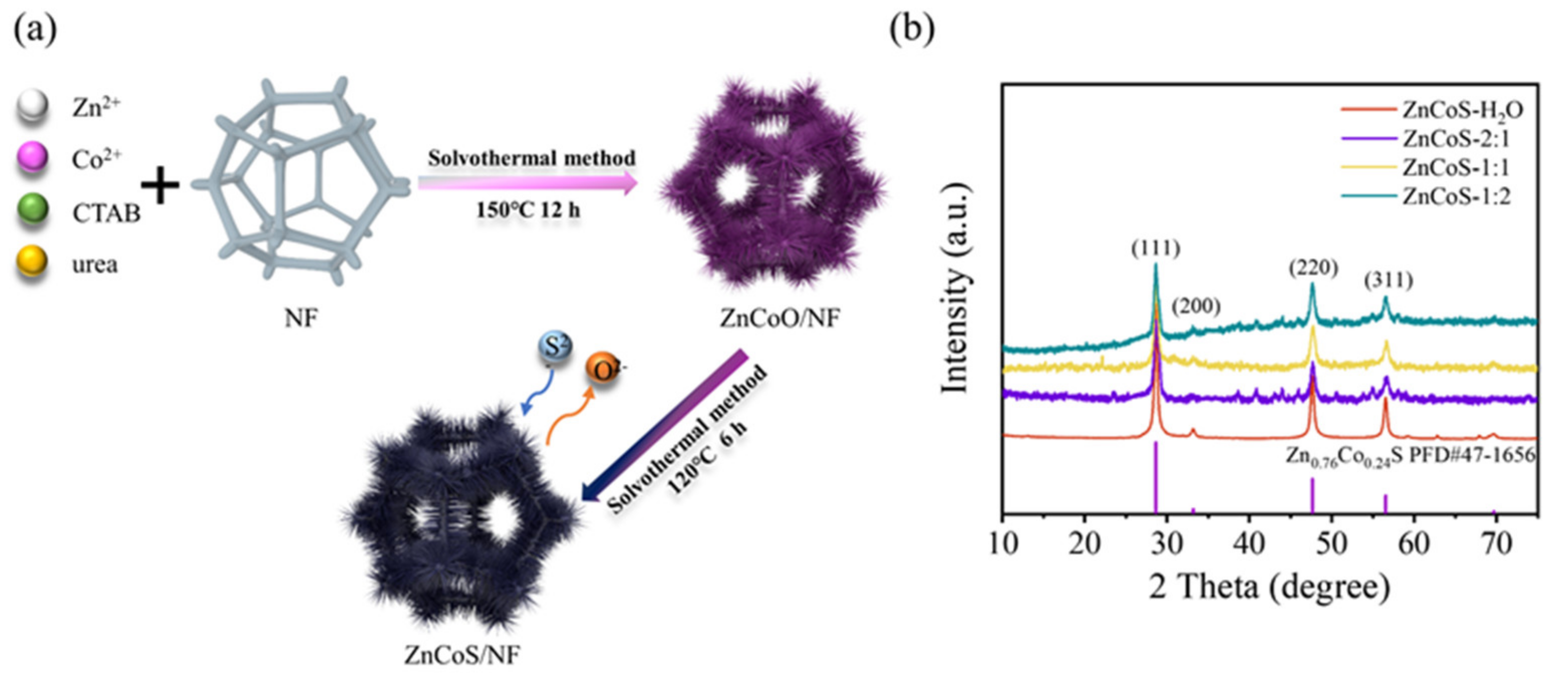 Molecules 28 06578 g001