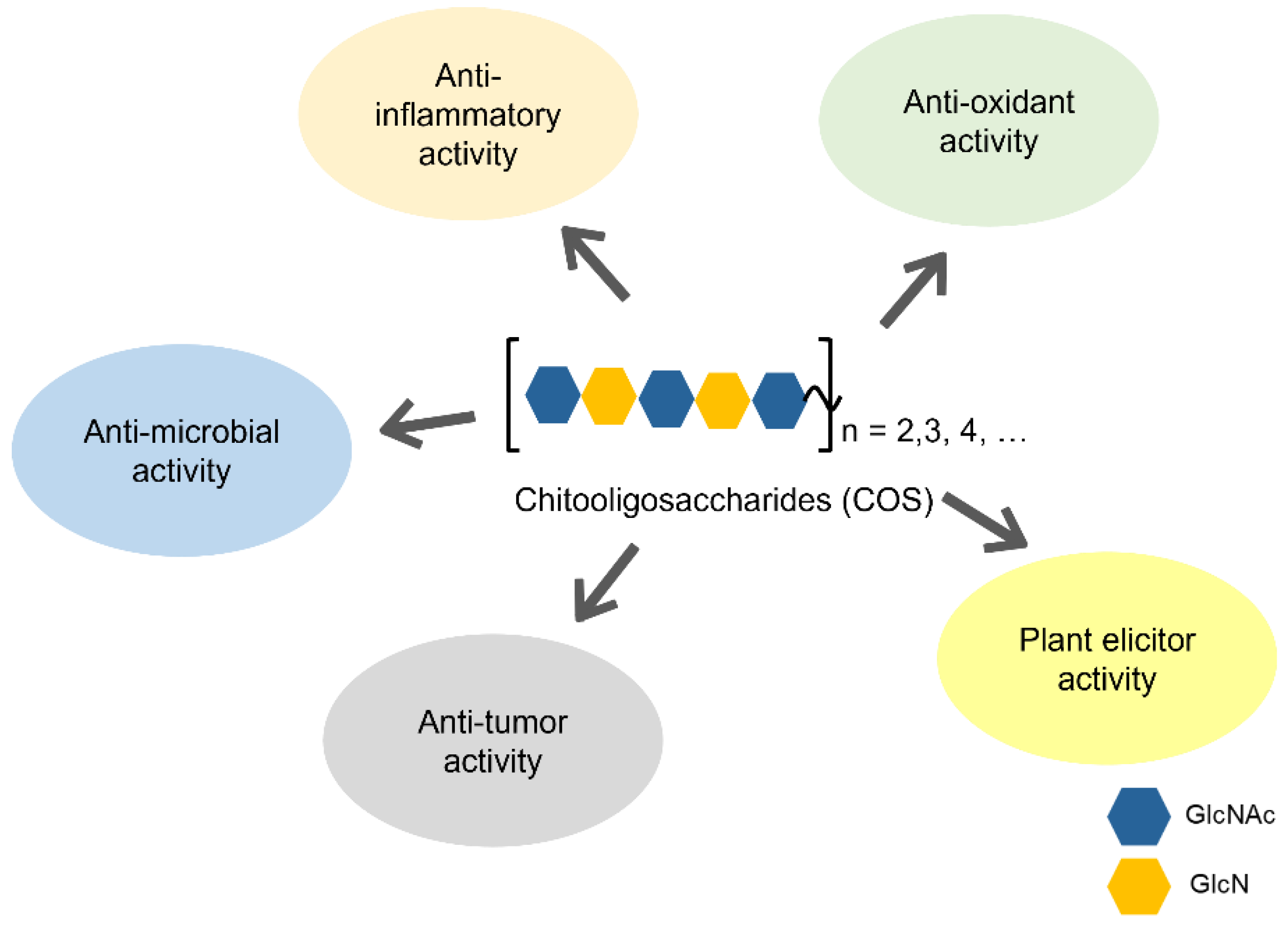 Molecules 28 06591 g002 Molecules 28 06591 g002
