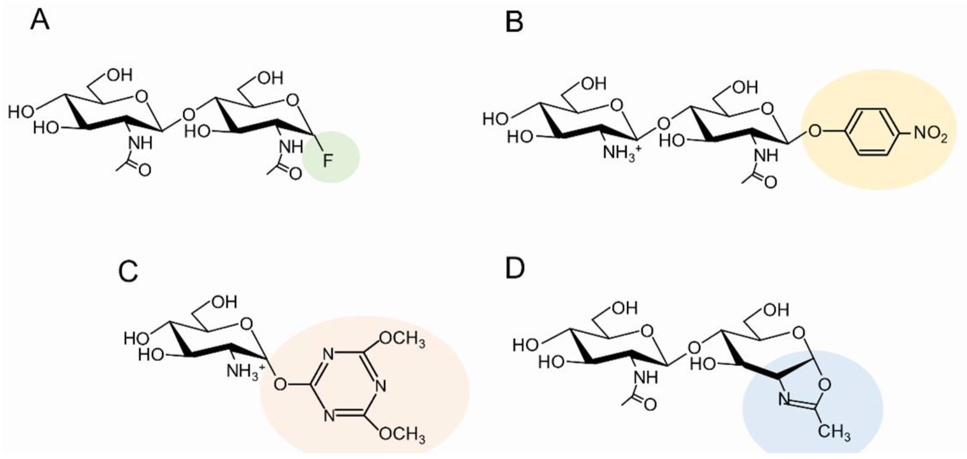 Molecules 28 06591 g003 Molecules 28 06591 g003