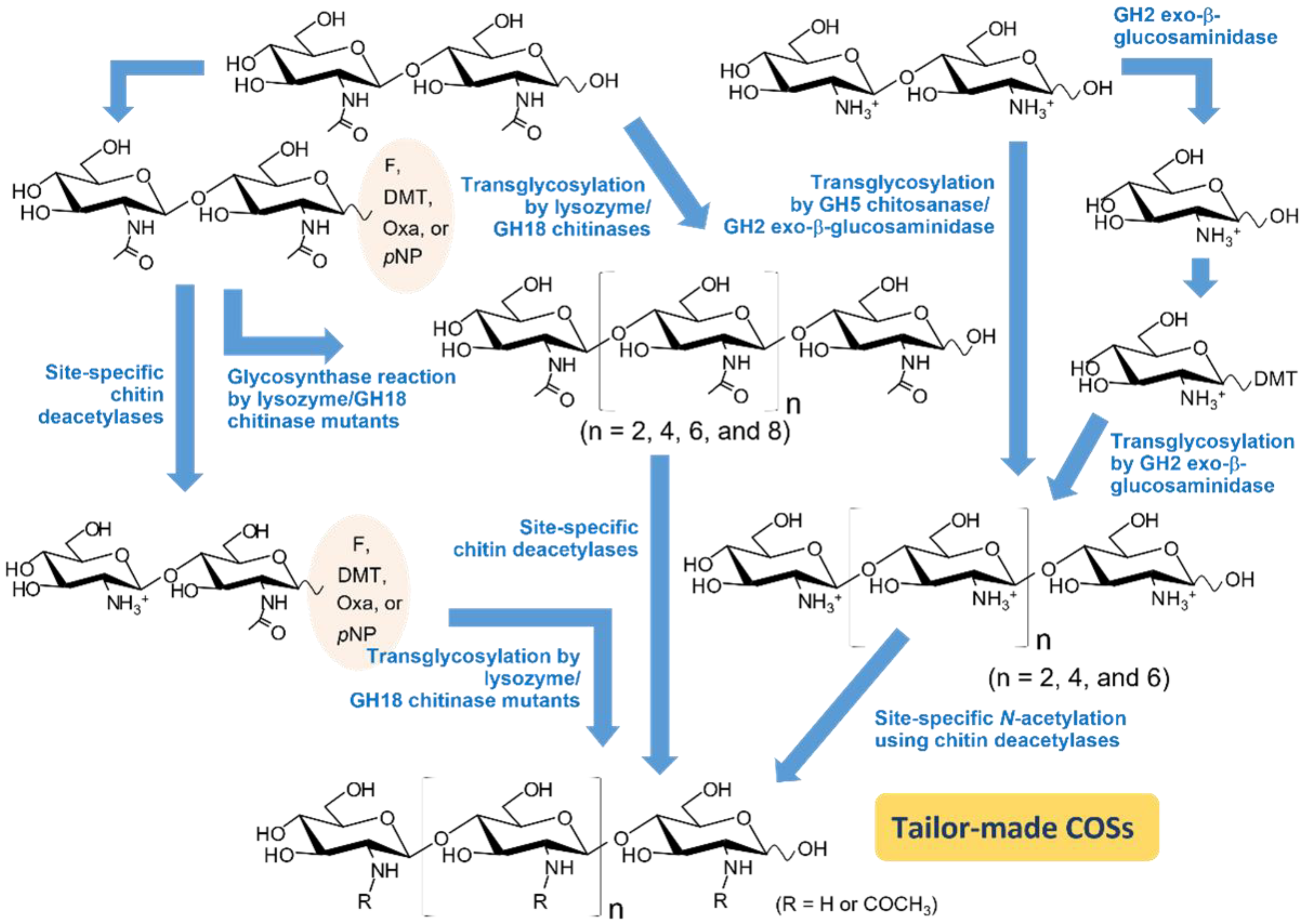 Molecules 28 06591 g004 Molecules 28 06591 g004