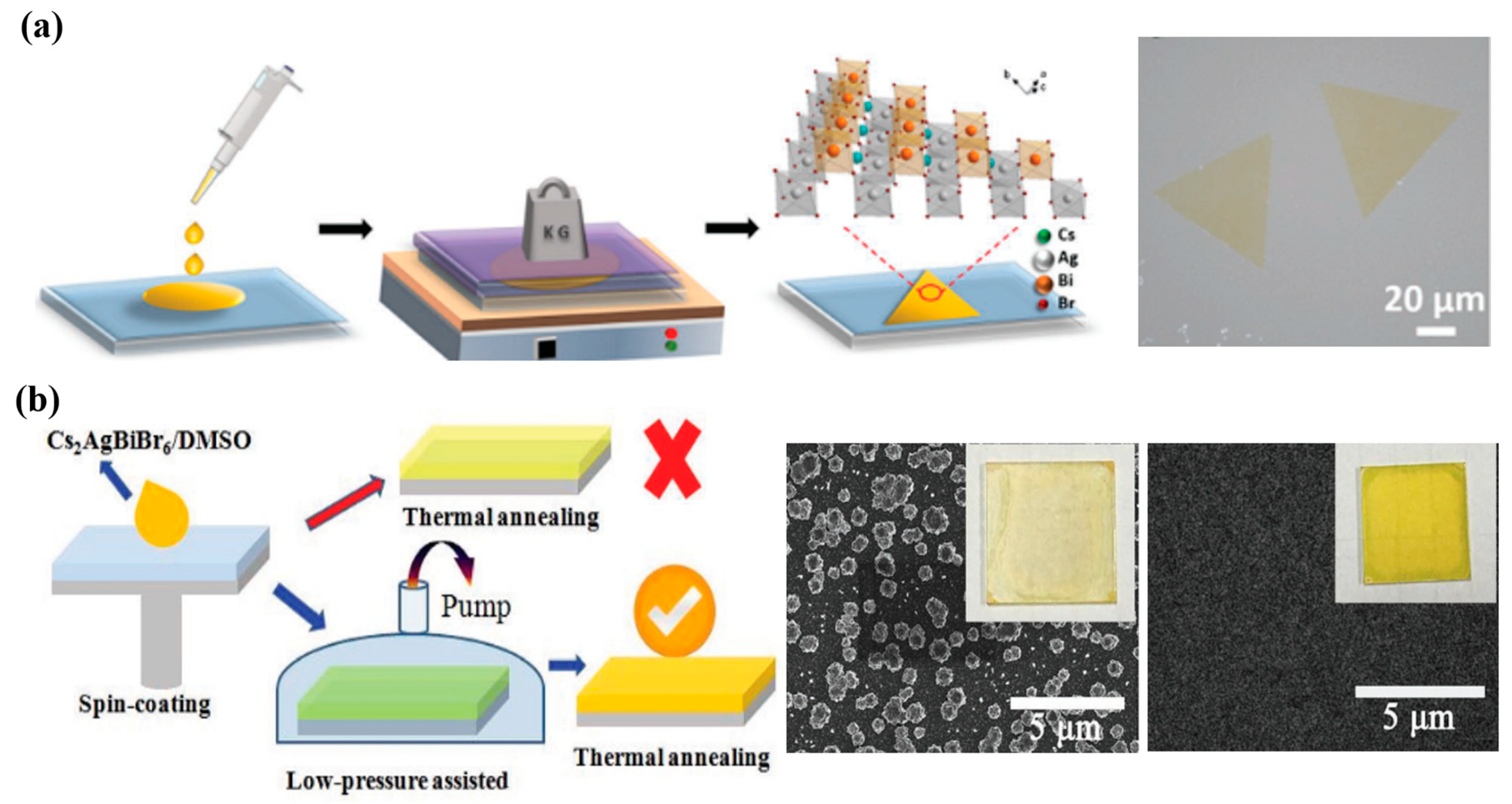 Molecules 28 06601 g004