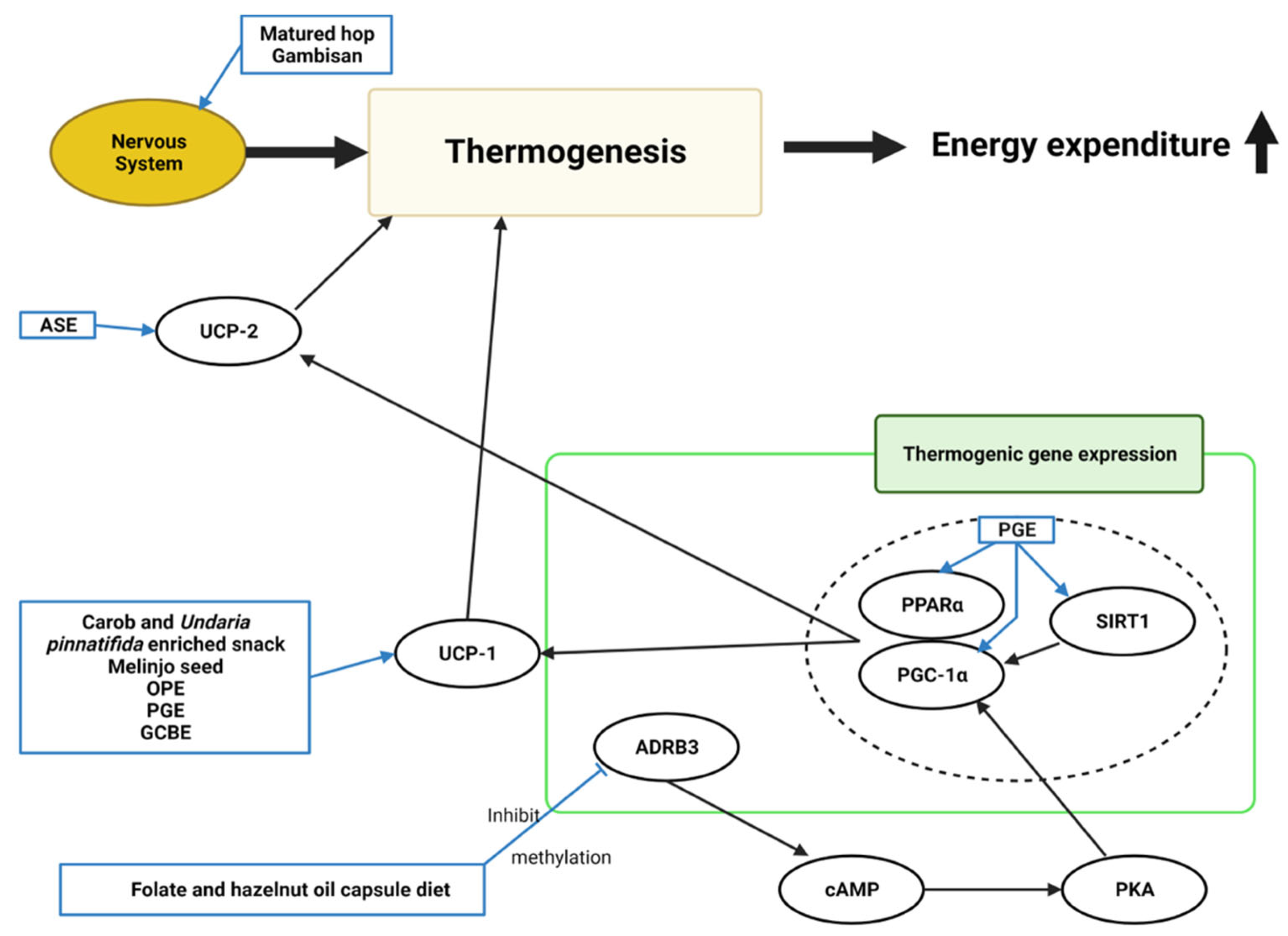 Molecules 28 06604 g006 Molecules 28 06604 g006