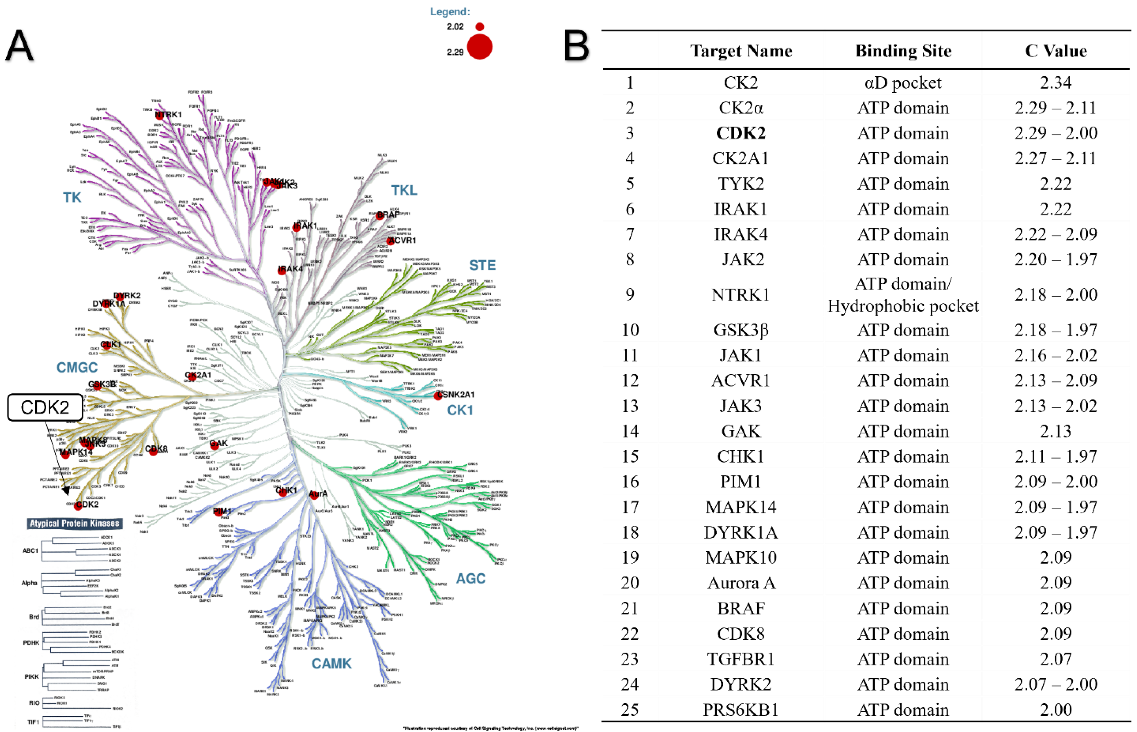 Molecules 28 06606 g005 Molecules 28 06606 g005