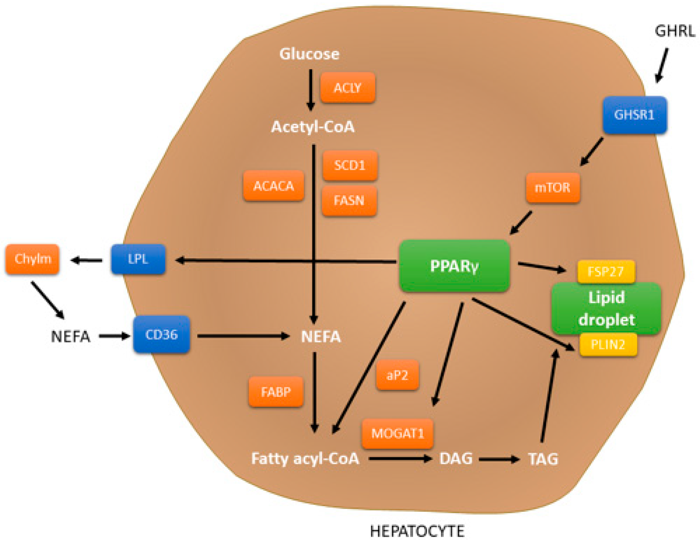 Molecules 28 06617 g003 Molecules 28 06617 g003