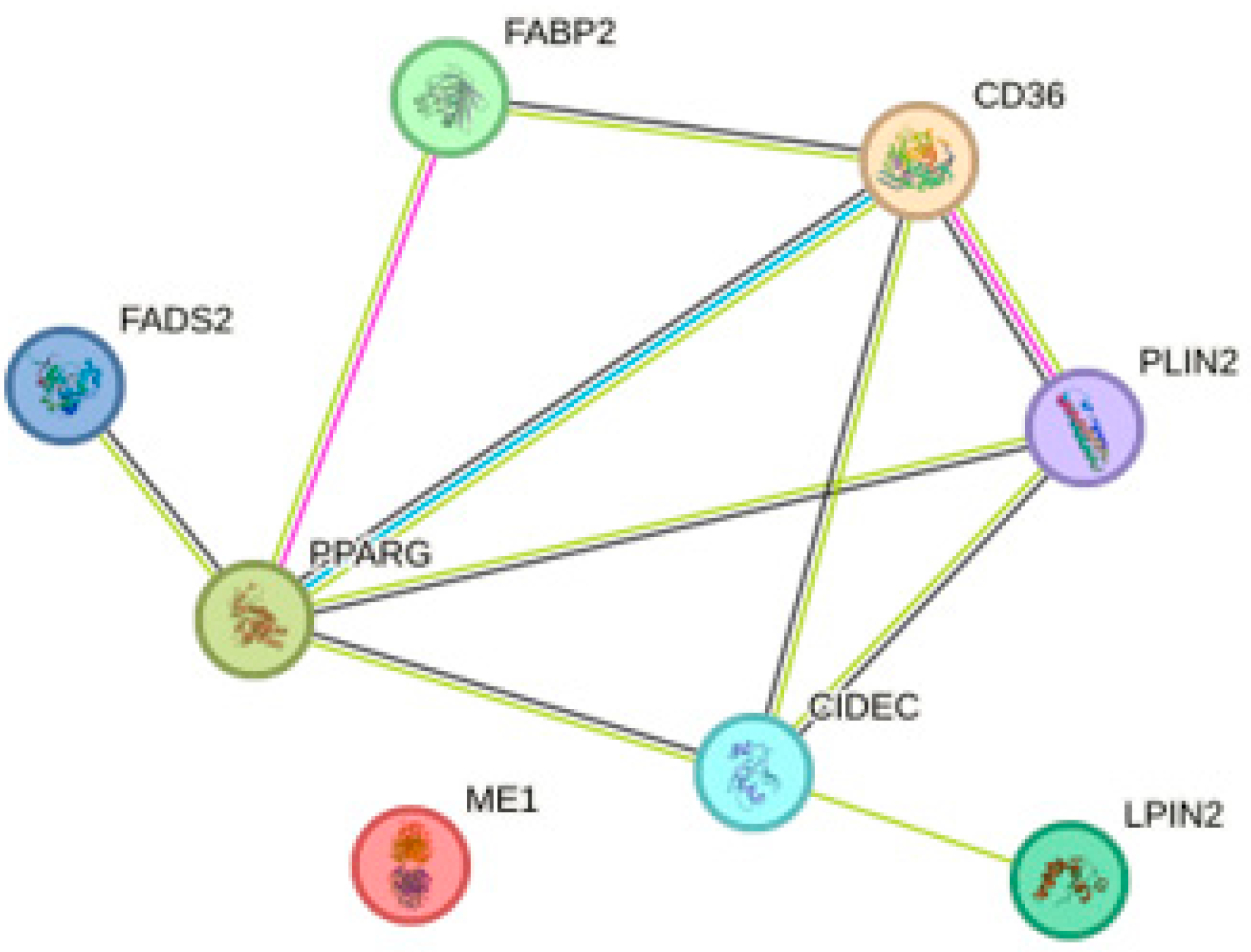 Molecules 28 06617 g004 Molecules 28 06617 g004