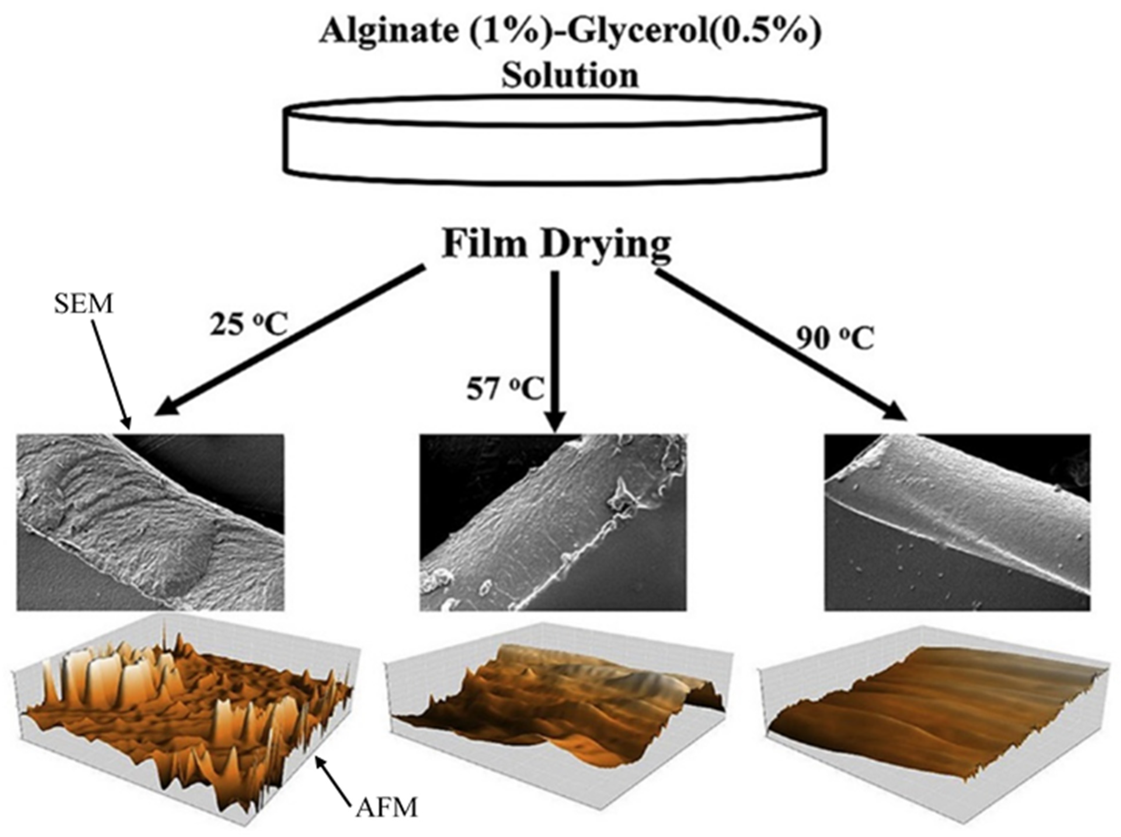 Molecules 28 06637 g004