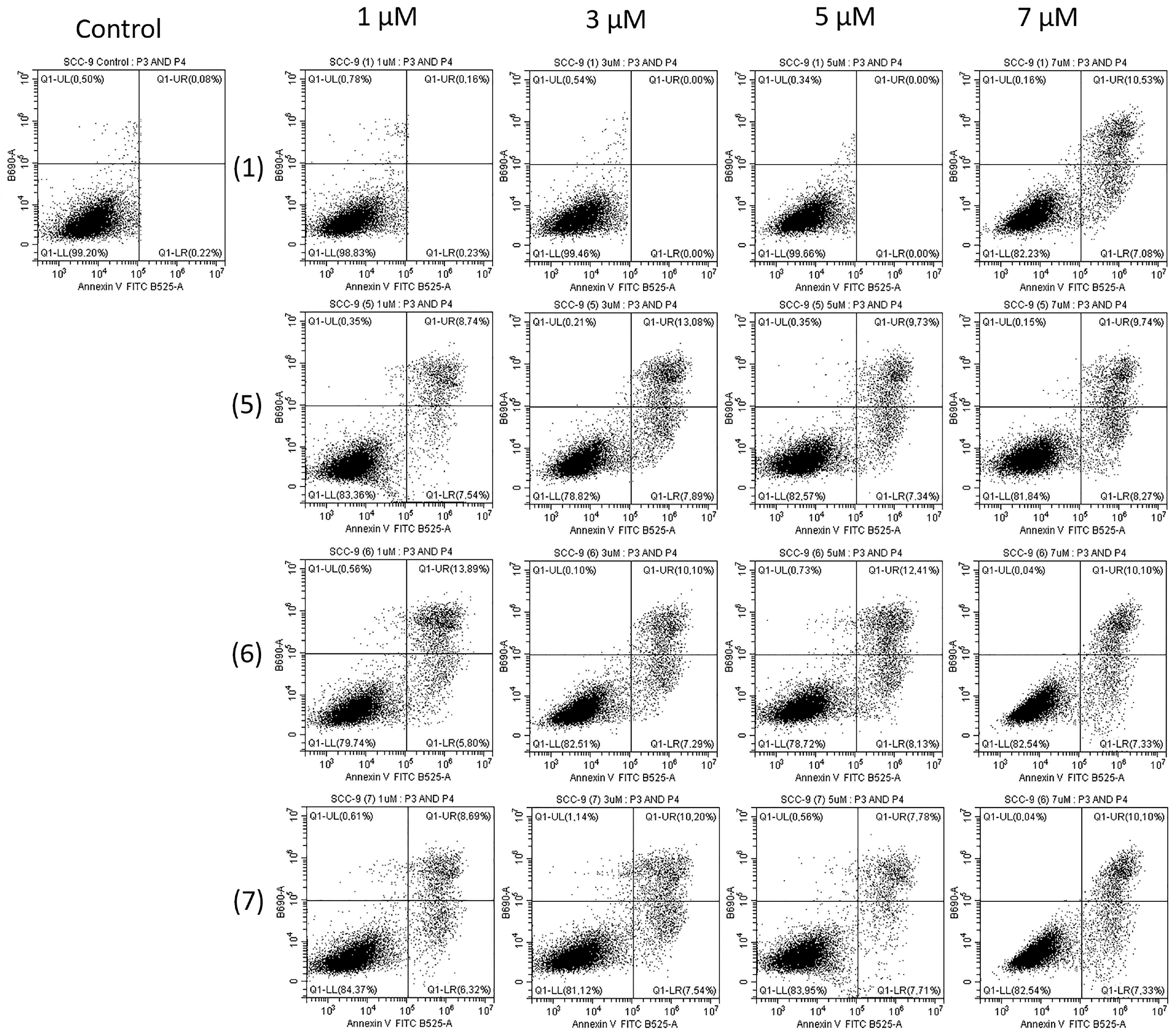 Molecules 28 06644 g005