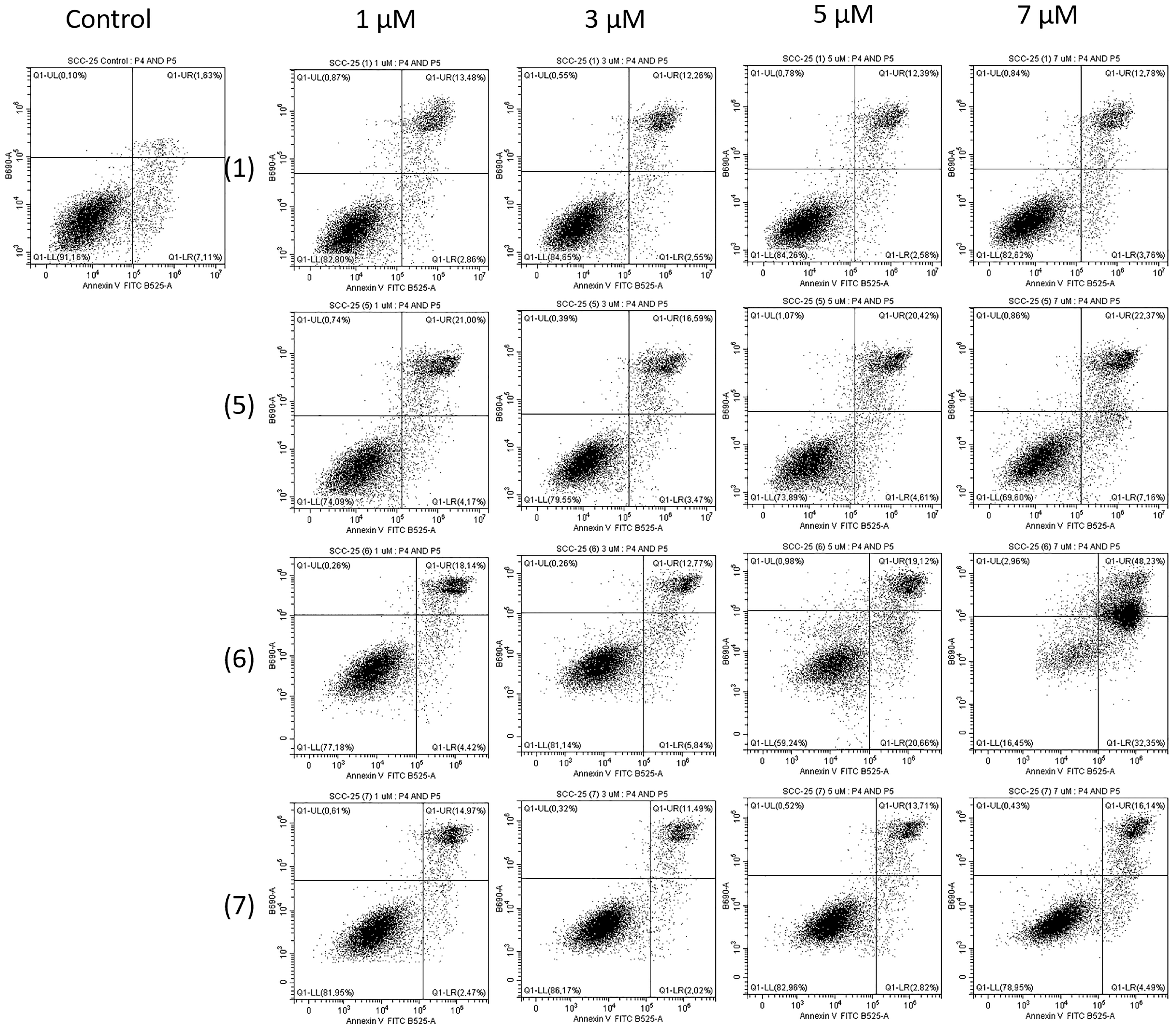 Molecules 28 06644 g006