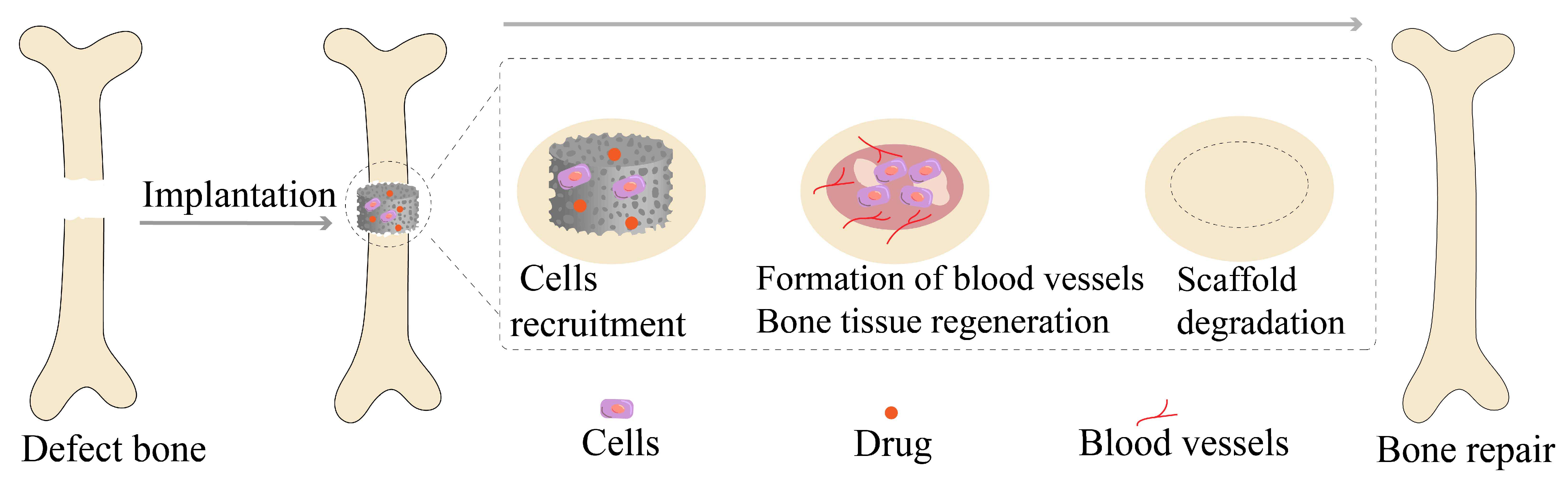 Molecules 28 06652 g004