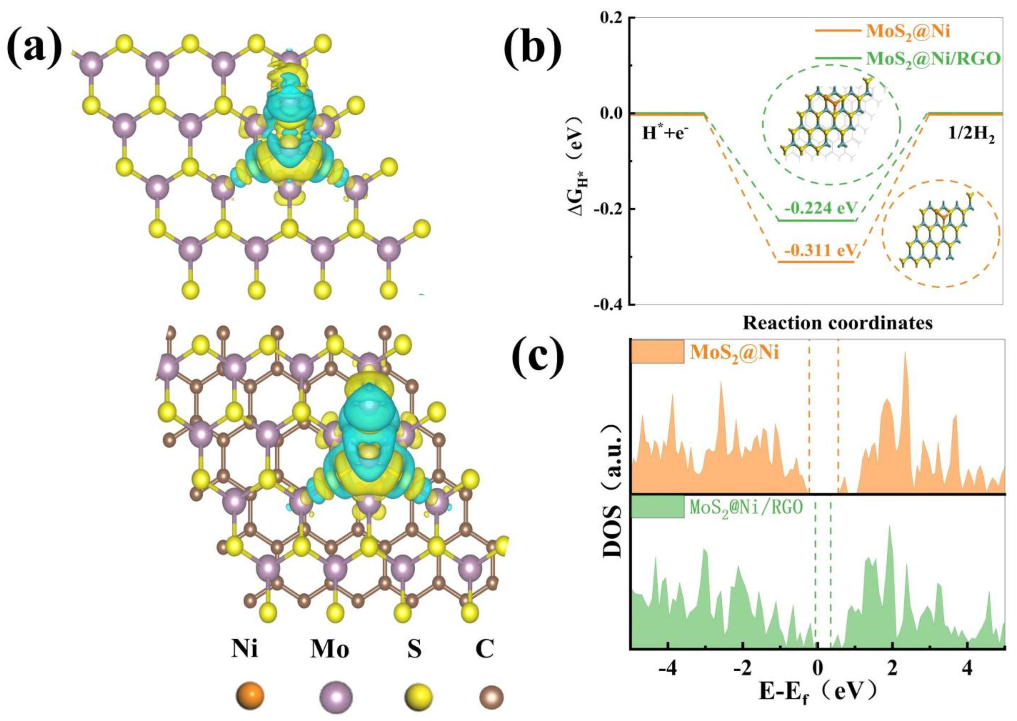 Molecules 28 06658 g005