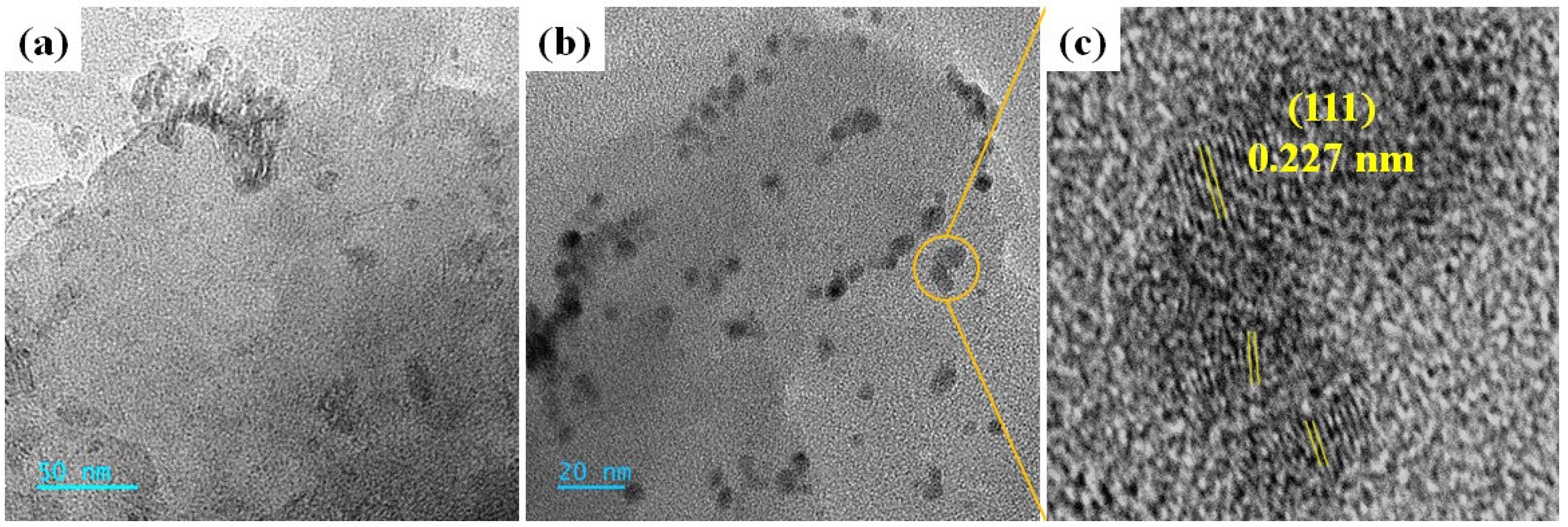 Molecules 28 06676 g006