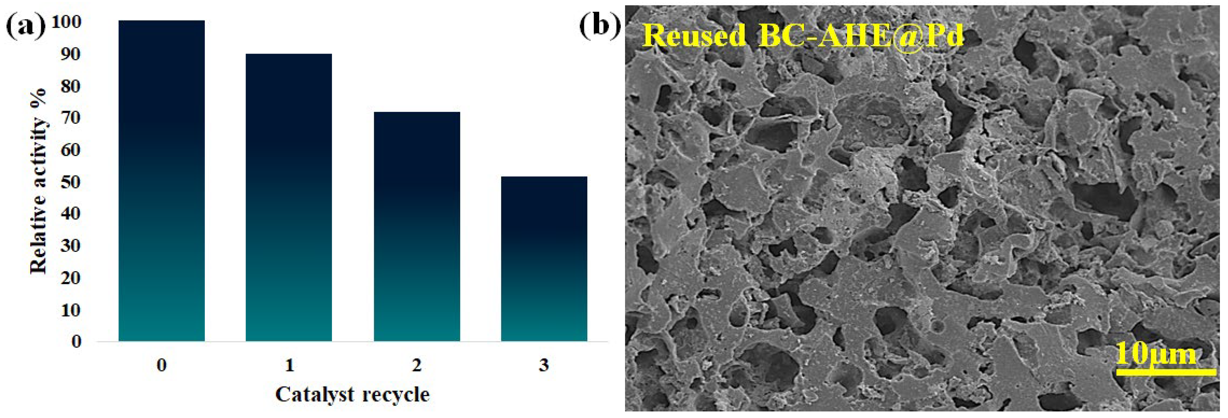Molecules 28 06676 g010