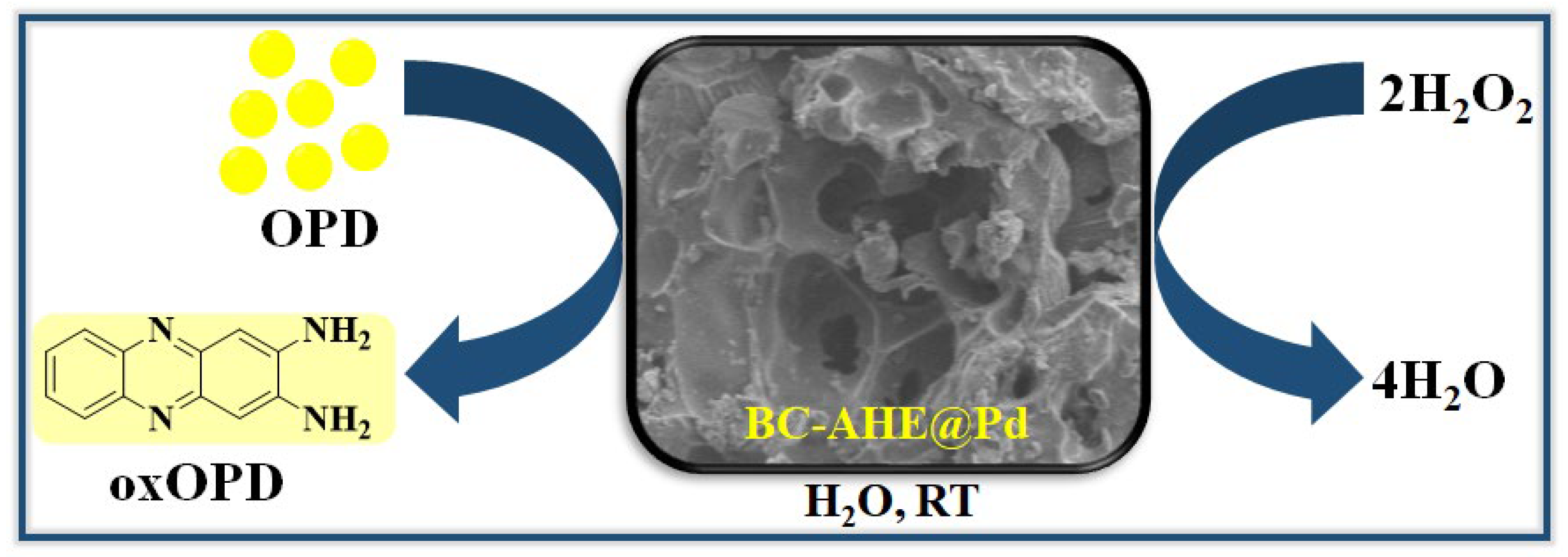 Molecules 28 06676 sch002