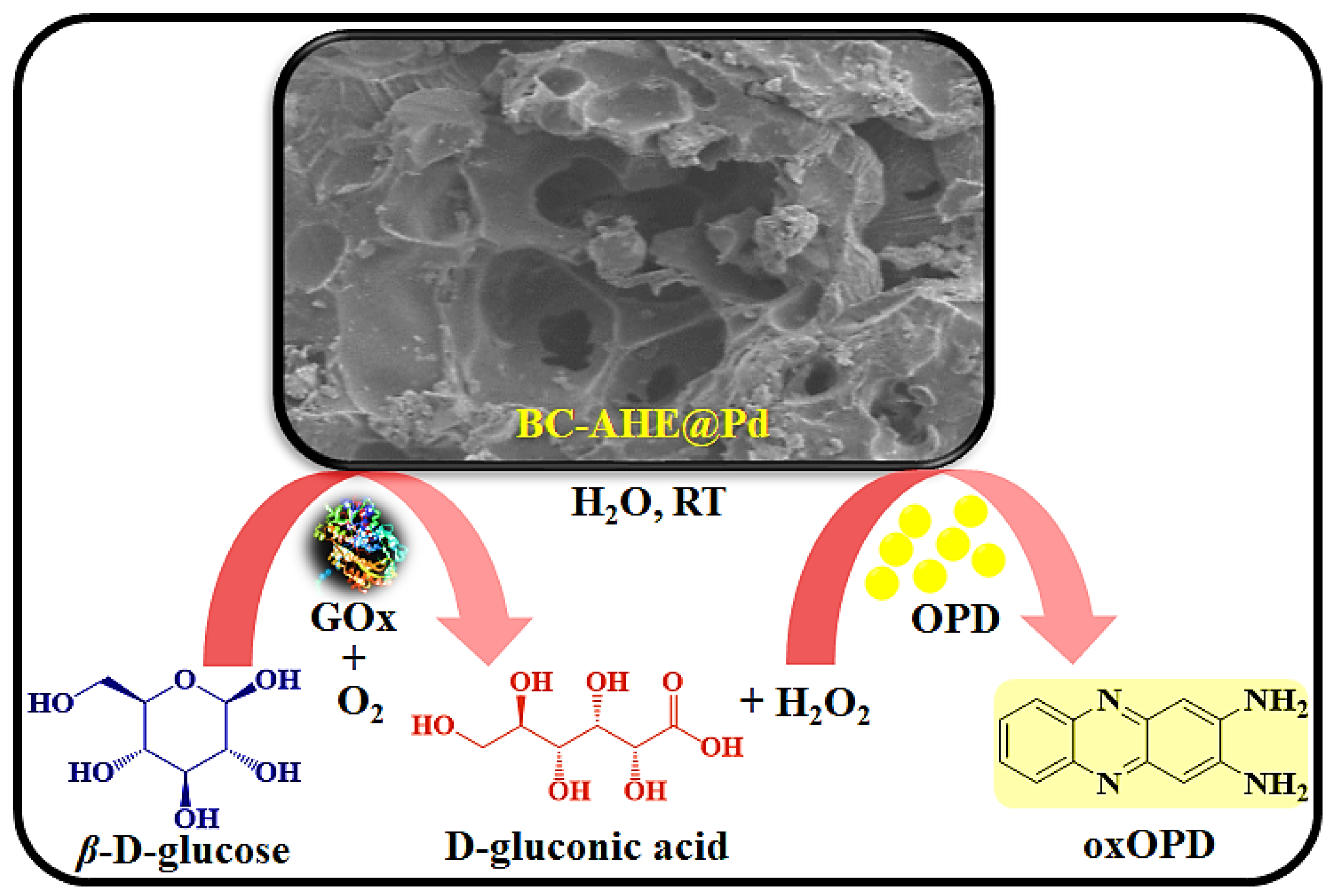 Molecules 28 06676 sch004
