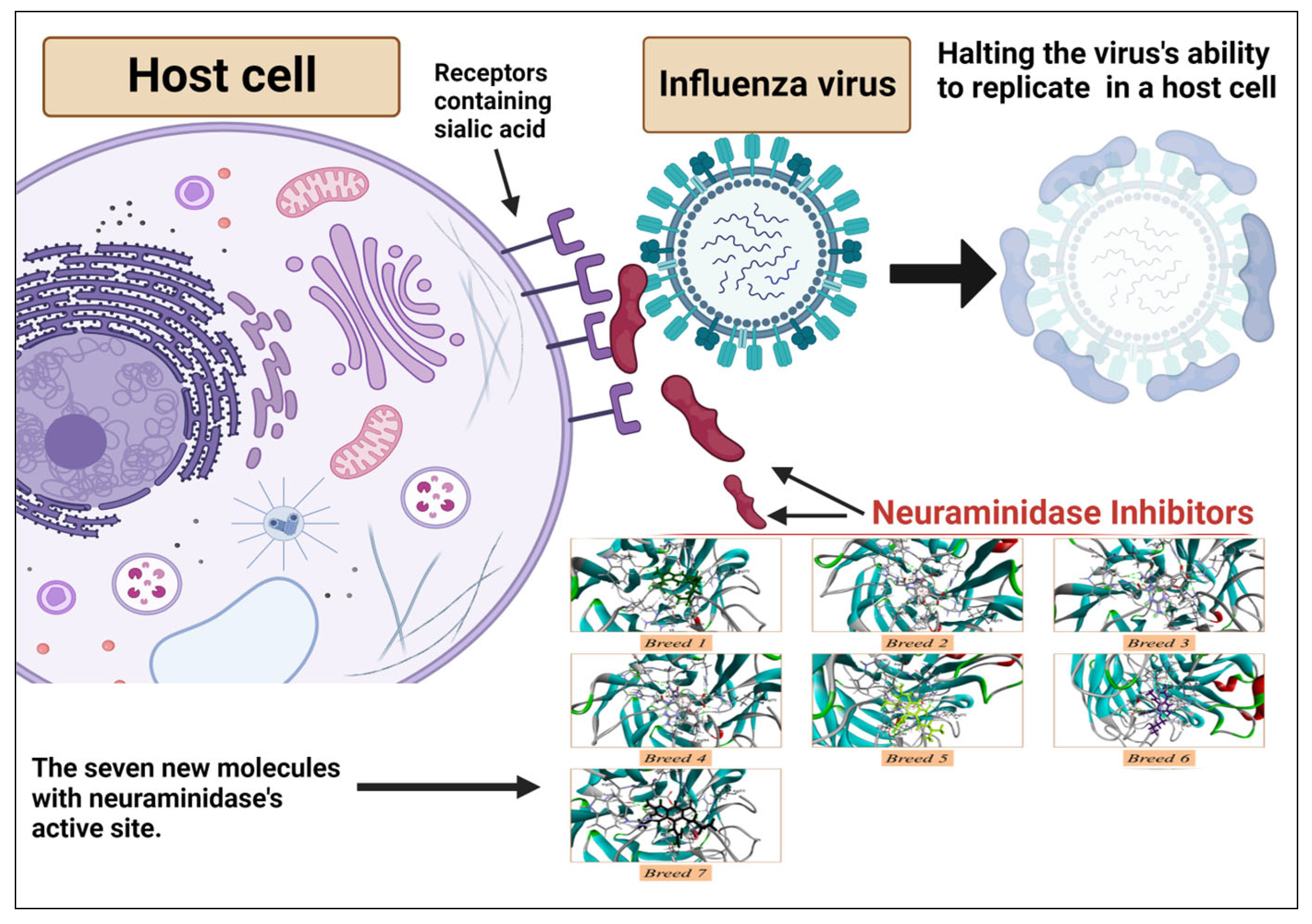 Molecules 28 06678 g001