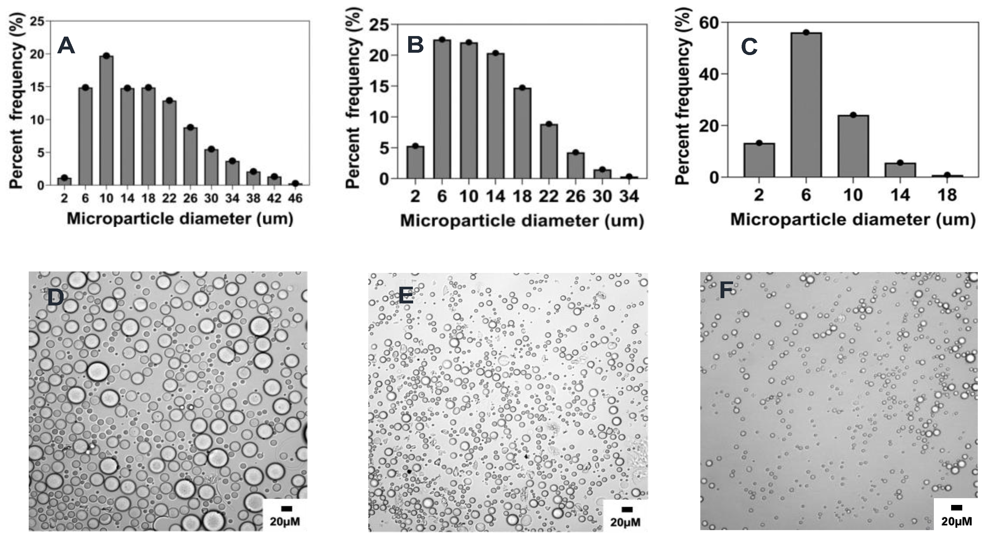 Molecules 28 06679 g006