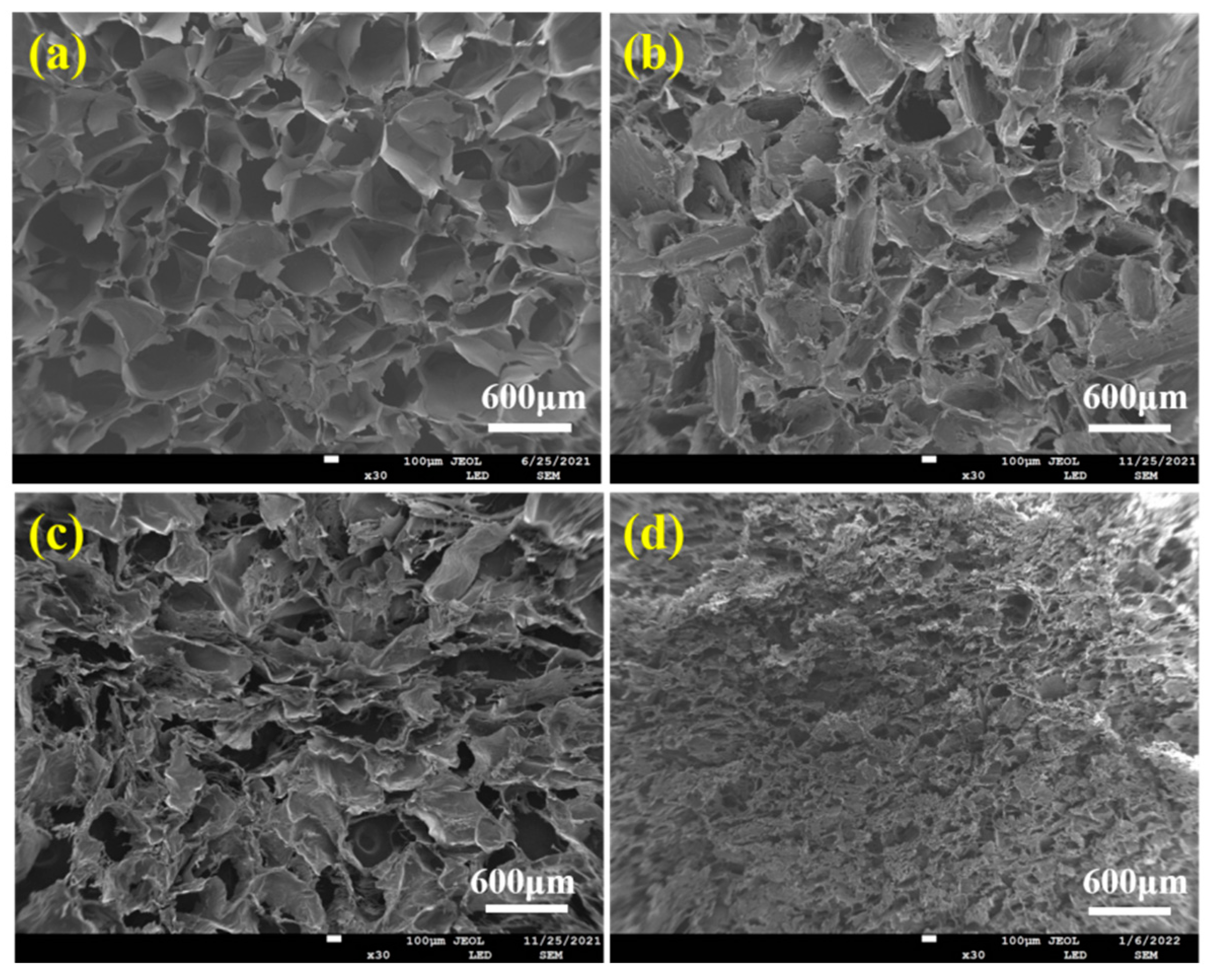 Molecules 28 06692 g004