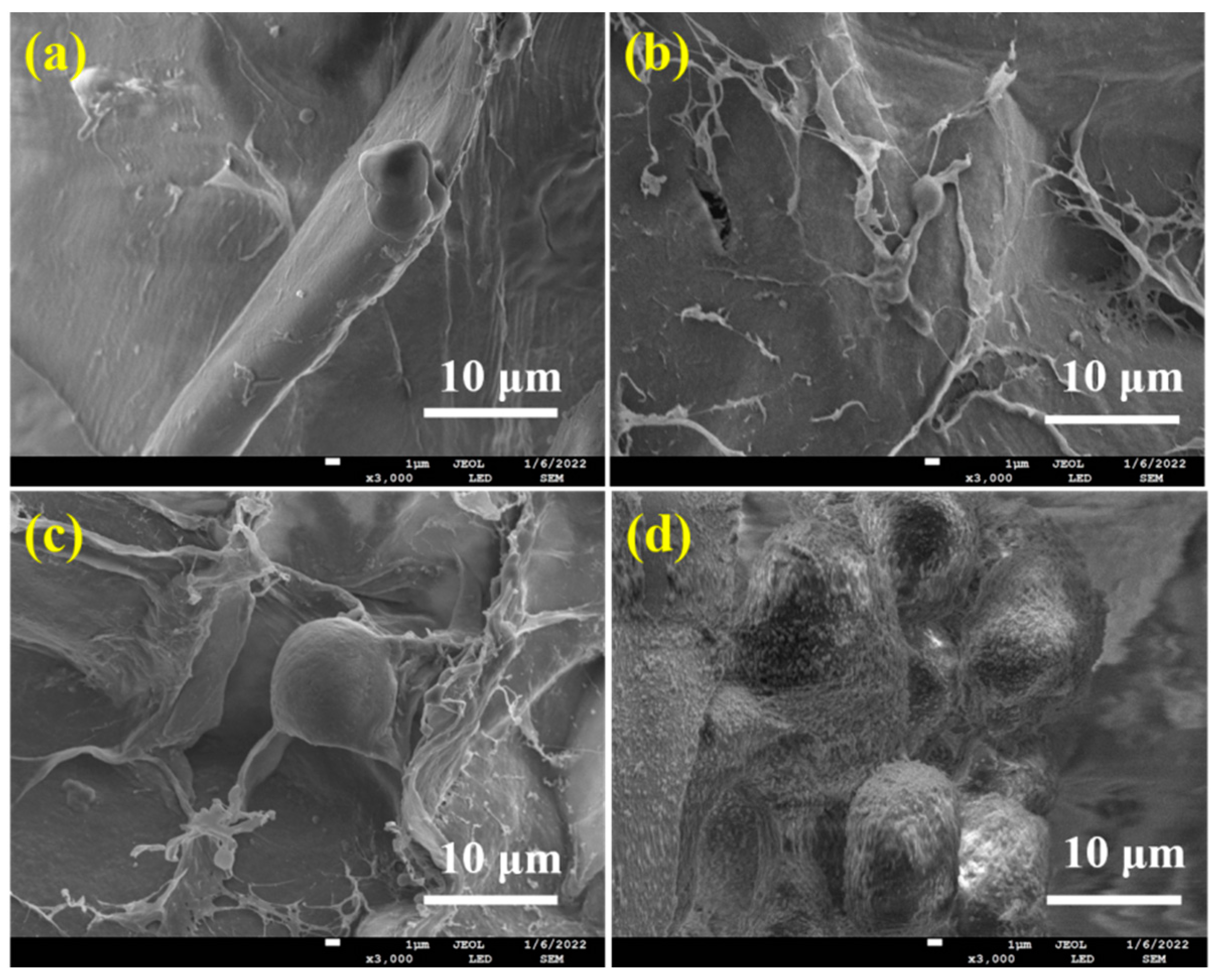 Molecules 28 06692 g010