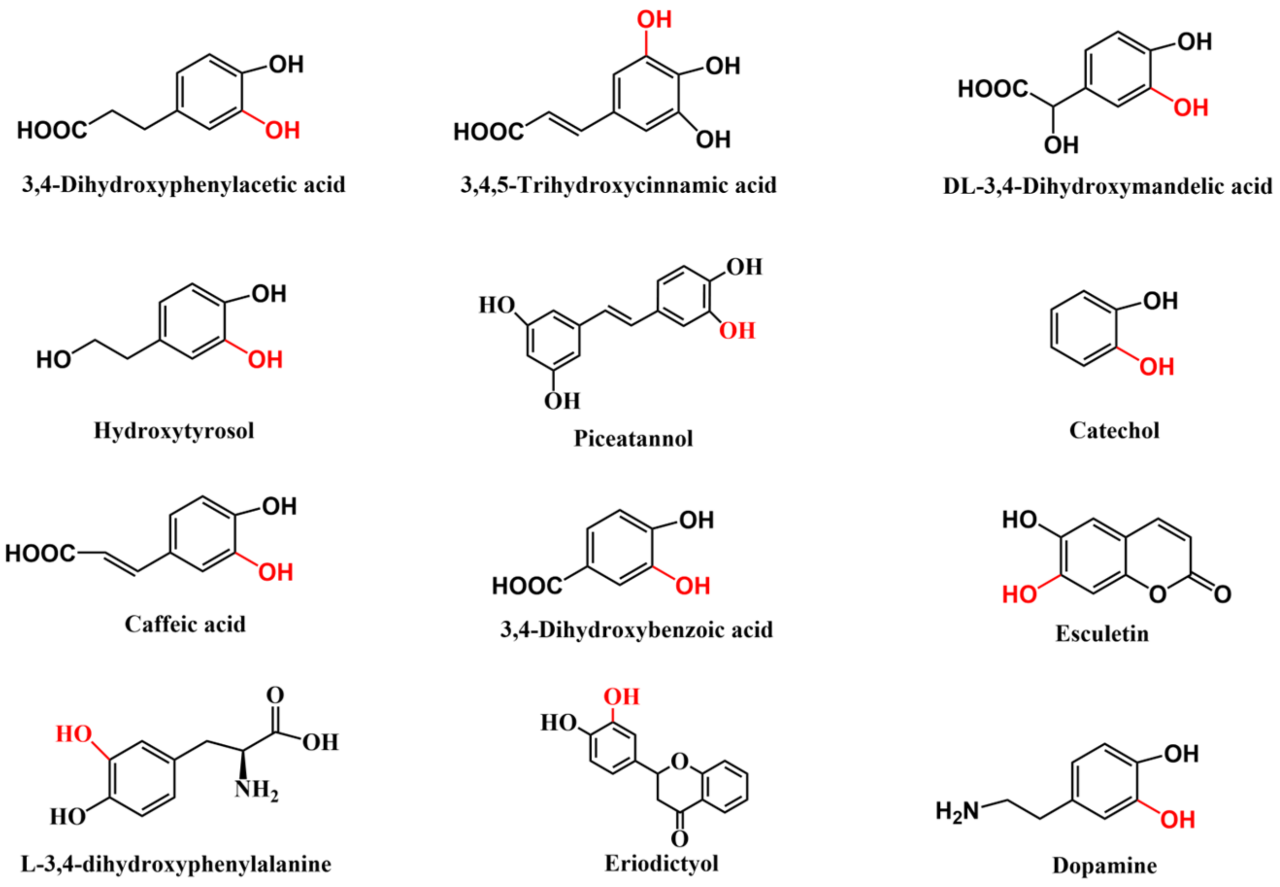 Molecules 28 06699 g001