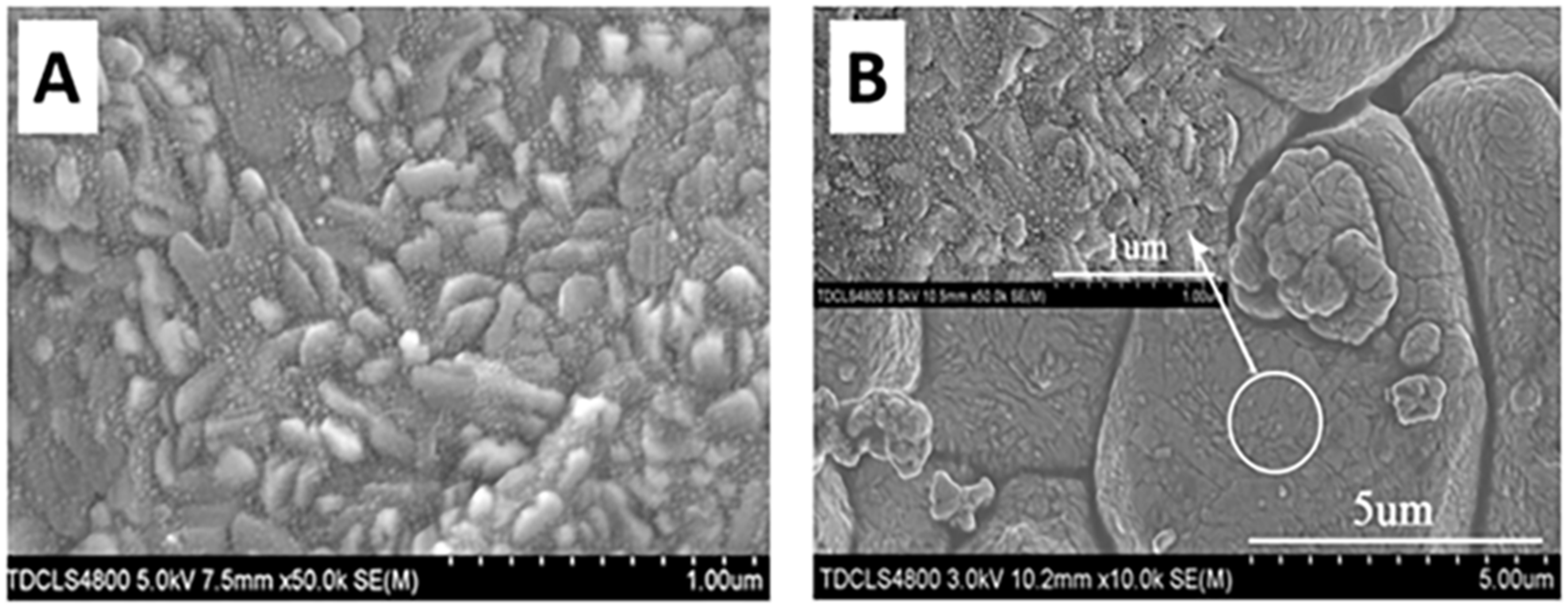 Molecules 28 06710 g005