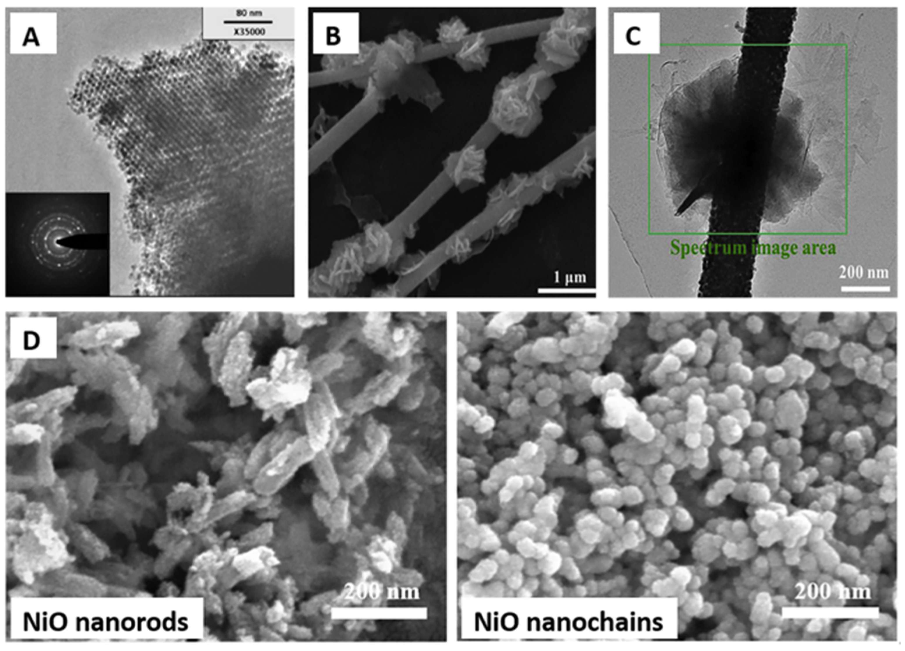 Molecules 28 06710 g006
