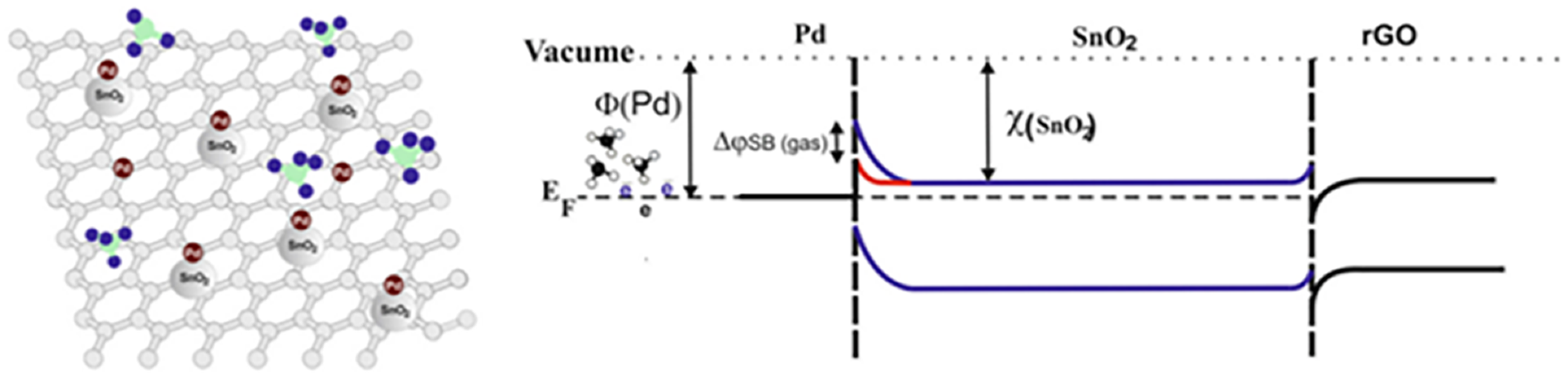 Molecules 28 06710 g007