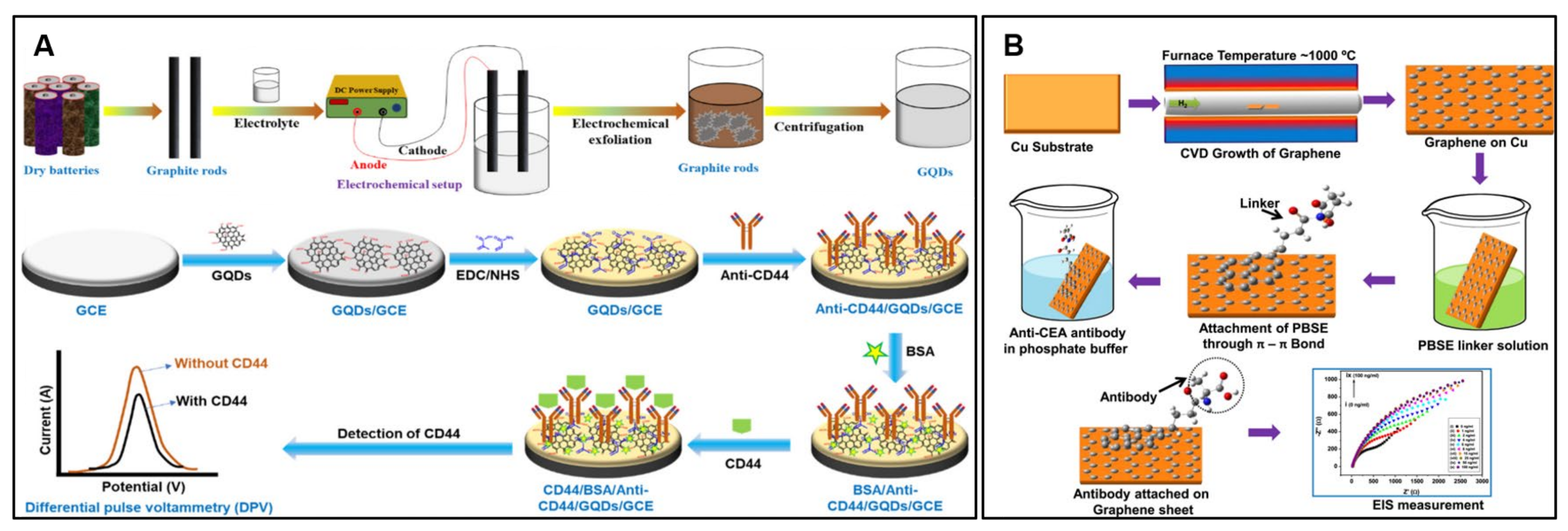 Molecules 28 06719 g001
