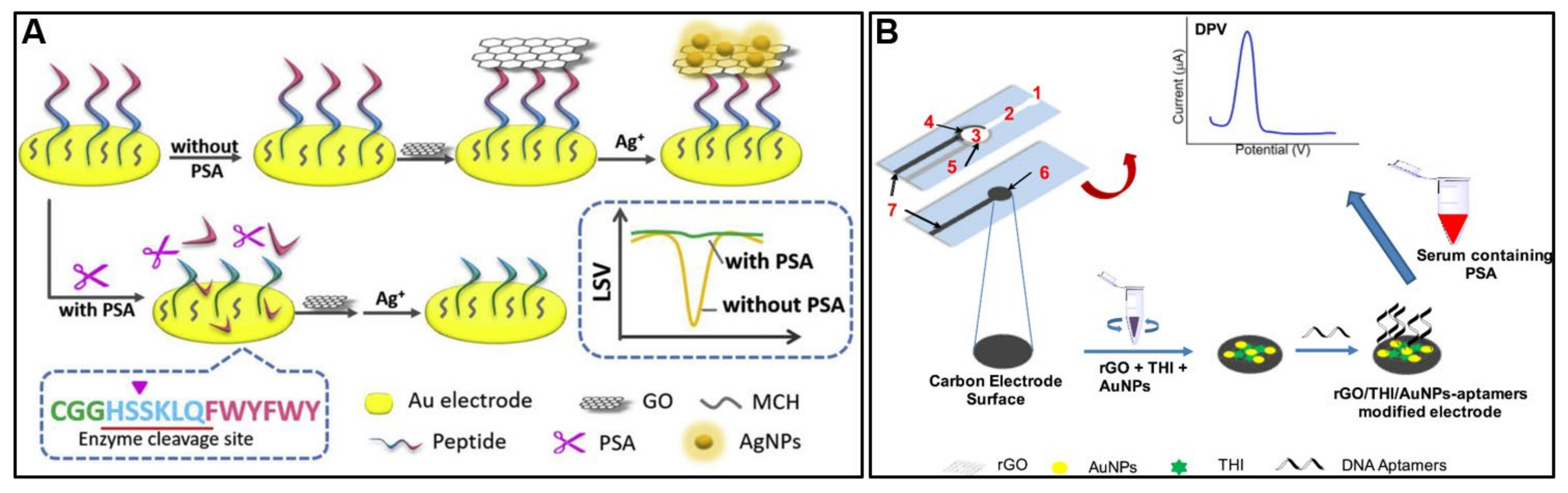 Molecules 28 06719 g007