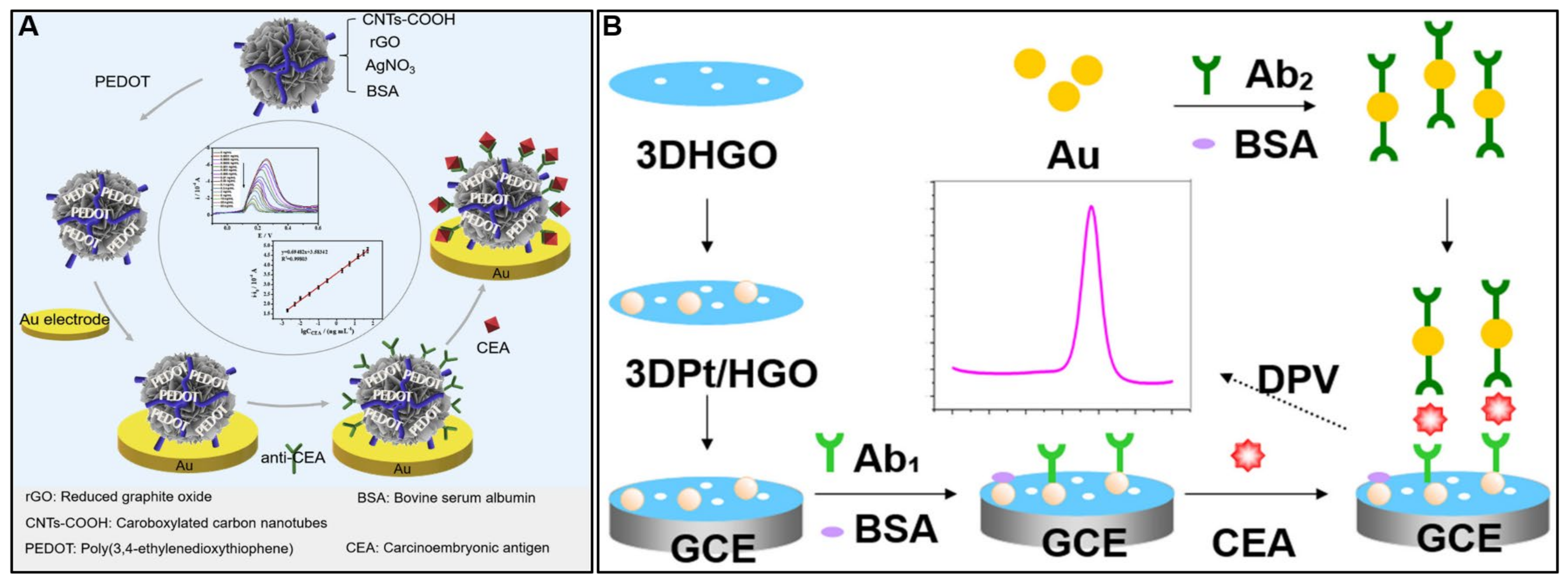 Molecules 28 06719 g008