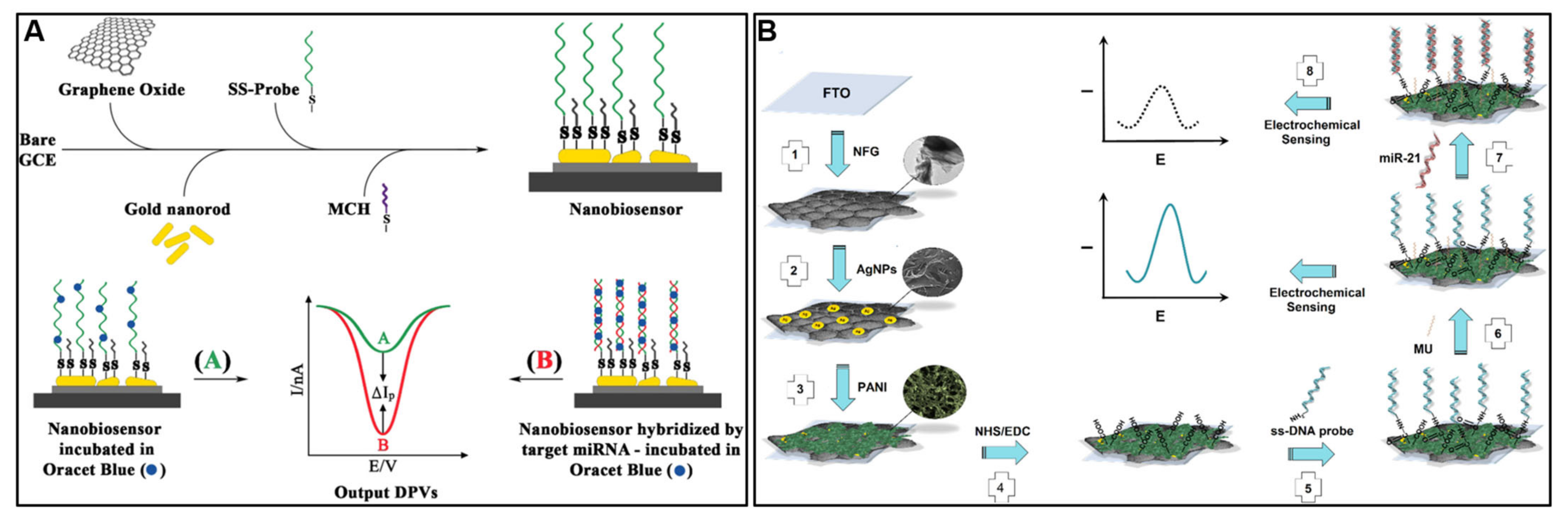 Molecules 28 06719 g010