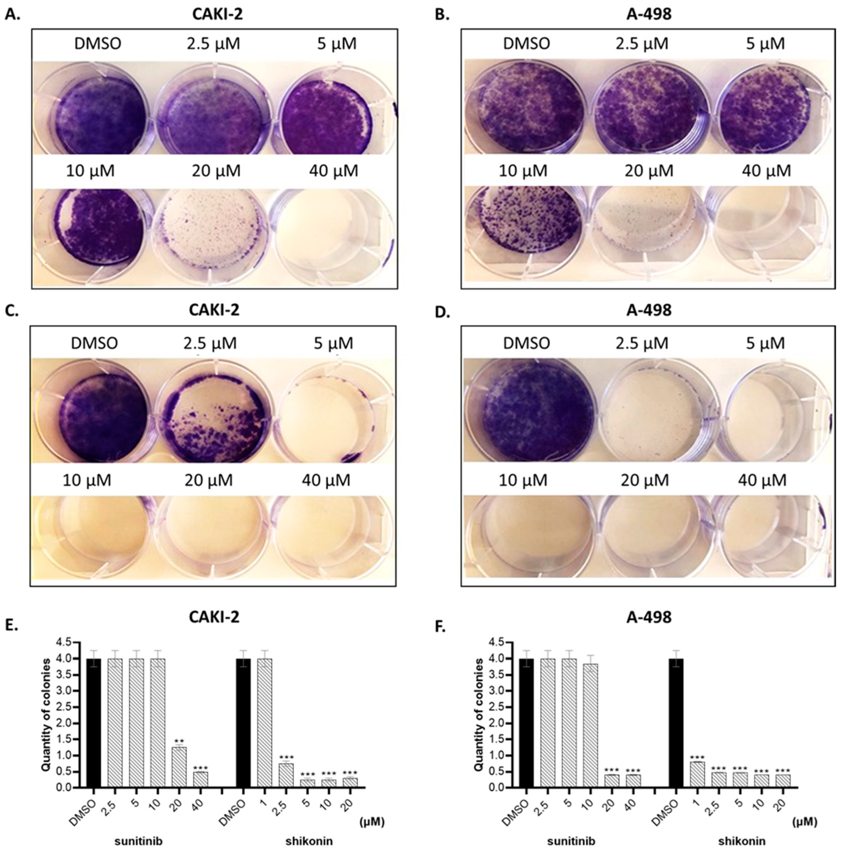 Molecules 28 06725 g002 Molecules 28 06725 g002