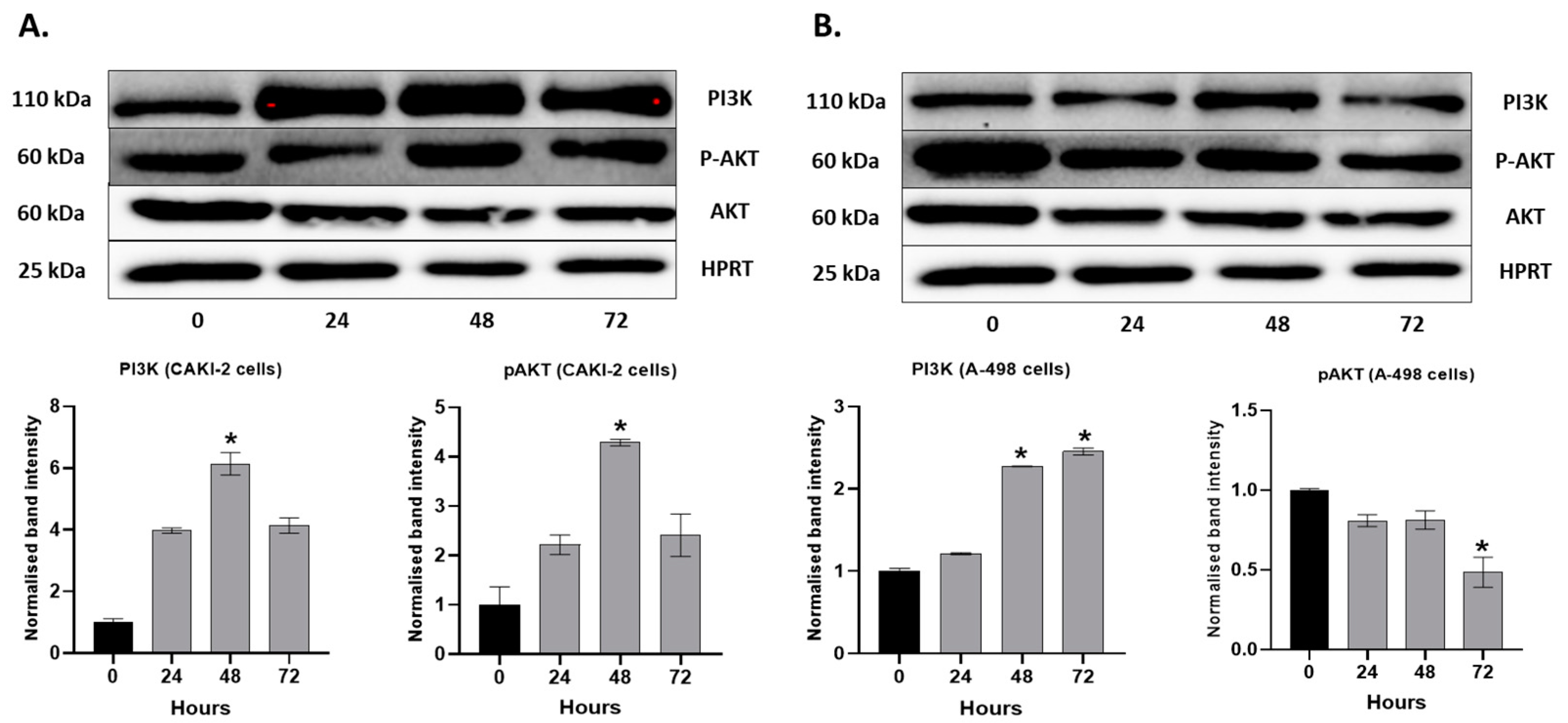 Molecules 28 06725 g005 Molecules 28 06725 g005