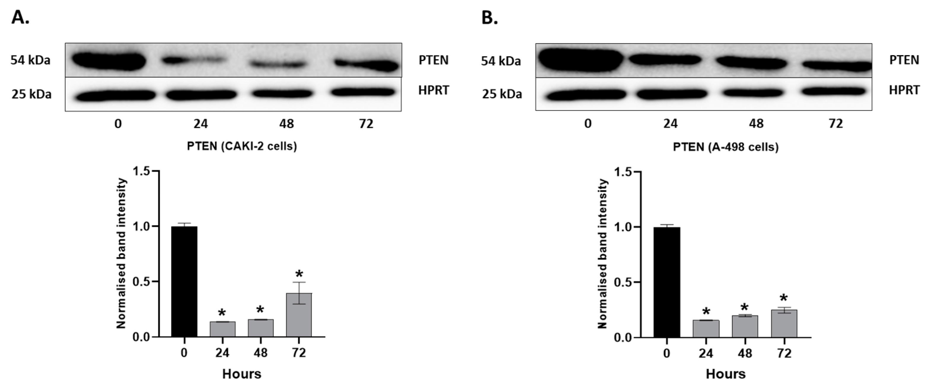 Molecules 28 06725 g006 Molecules 28 06725 g006