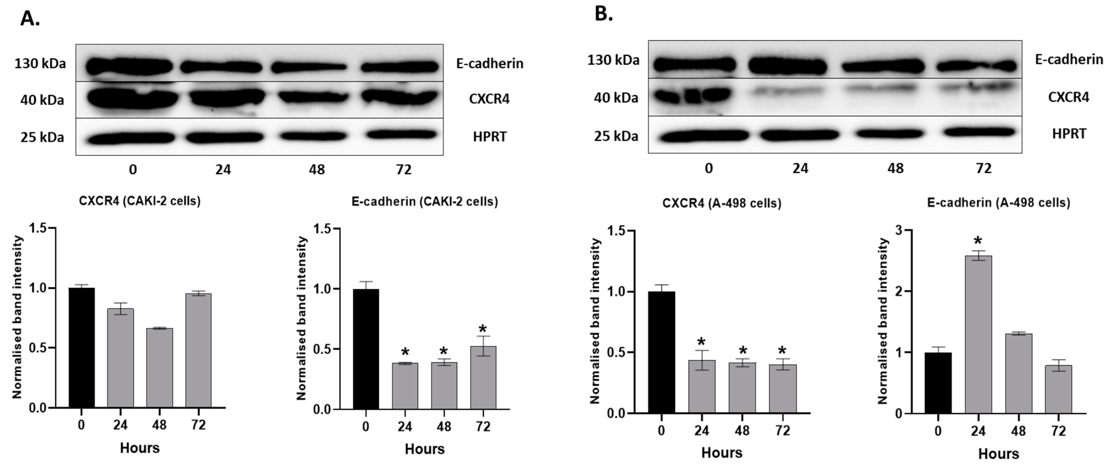Molecules 28 06725 g011 Molecules 28 06725 g011