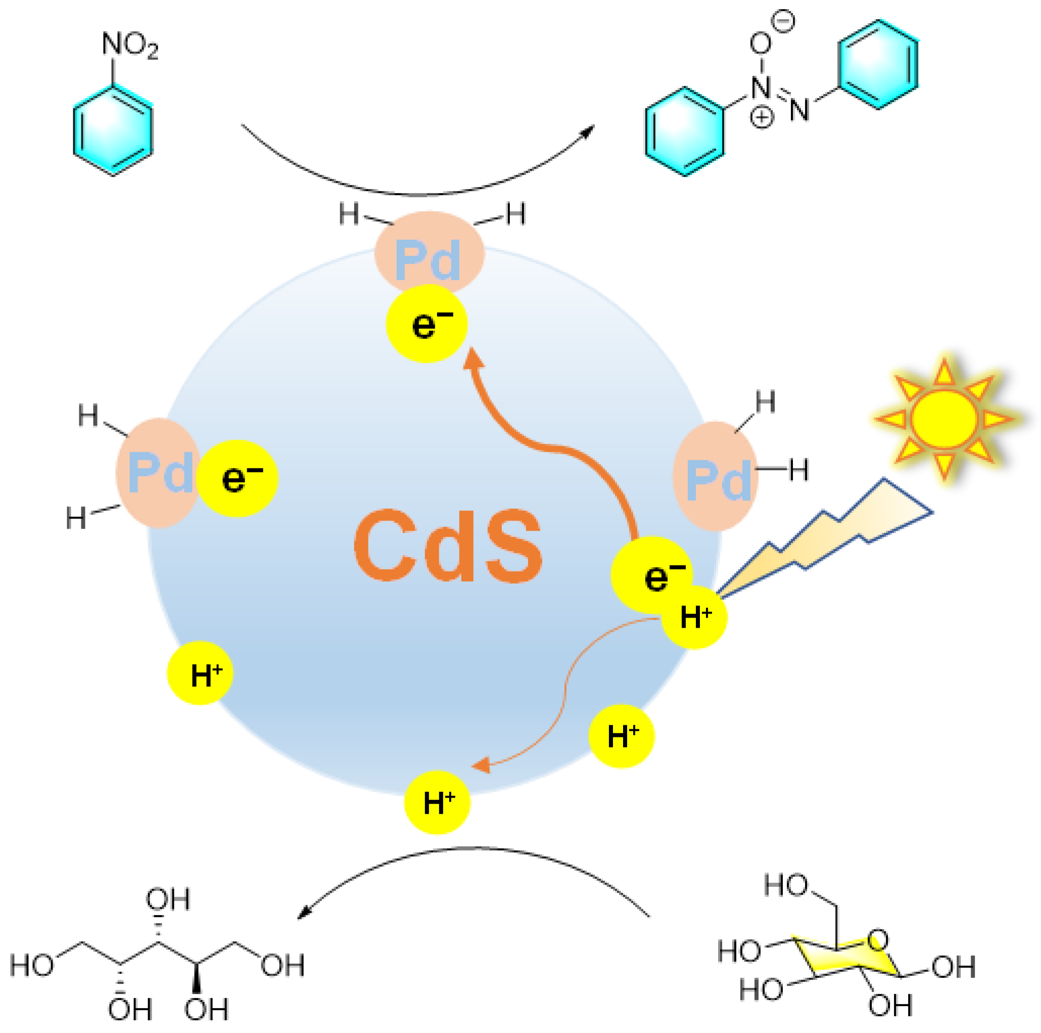 Molecules 28 06741 g020