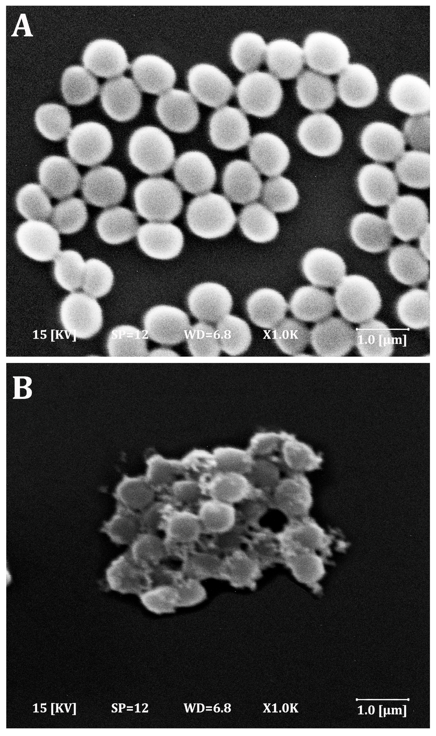 Molecules 28 06742 g004