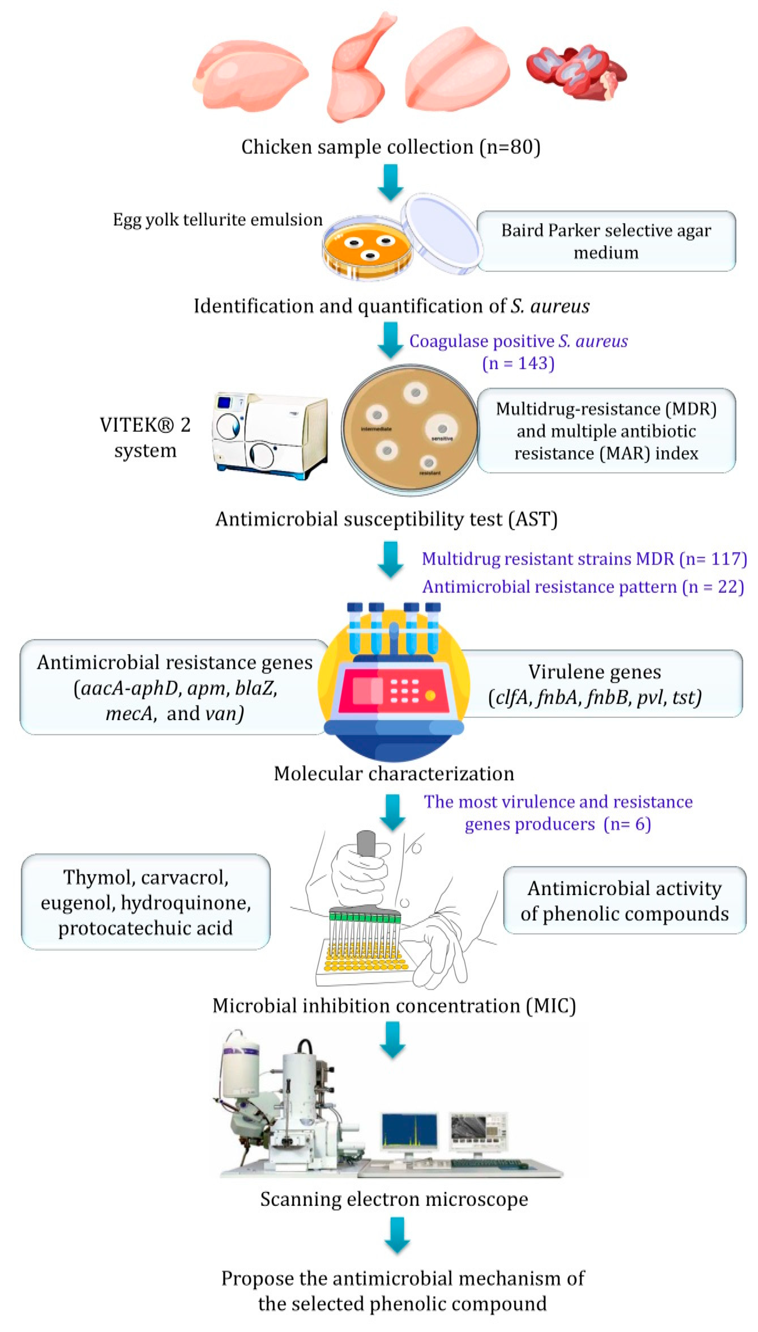 Molecules 28 06742 g005