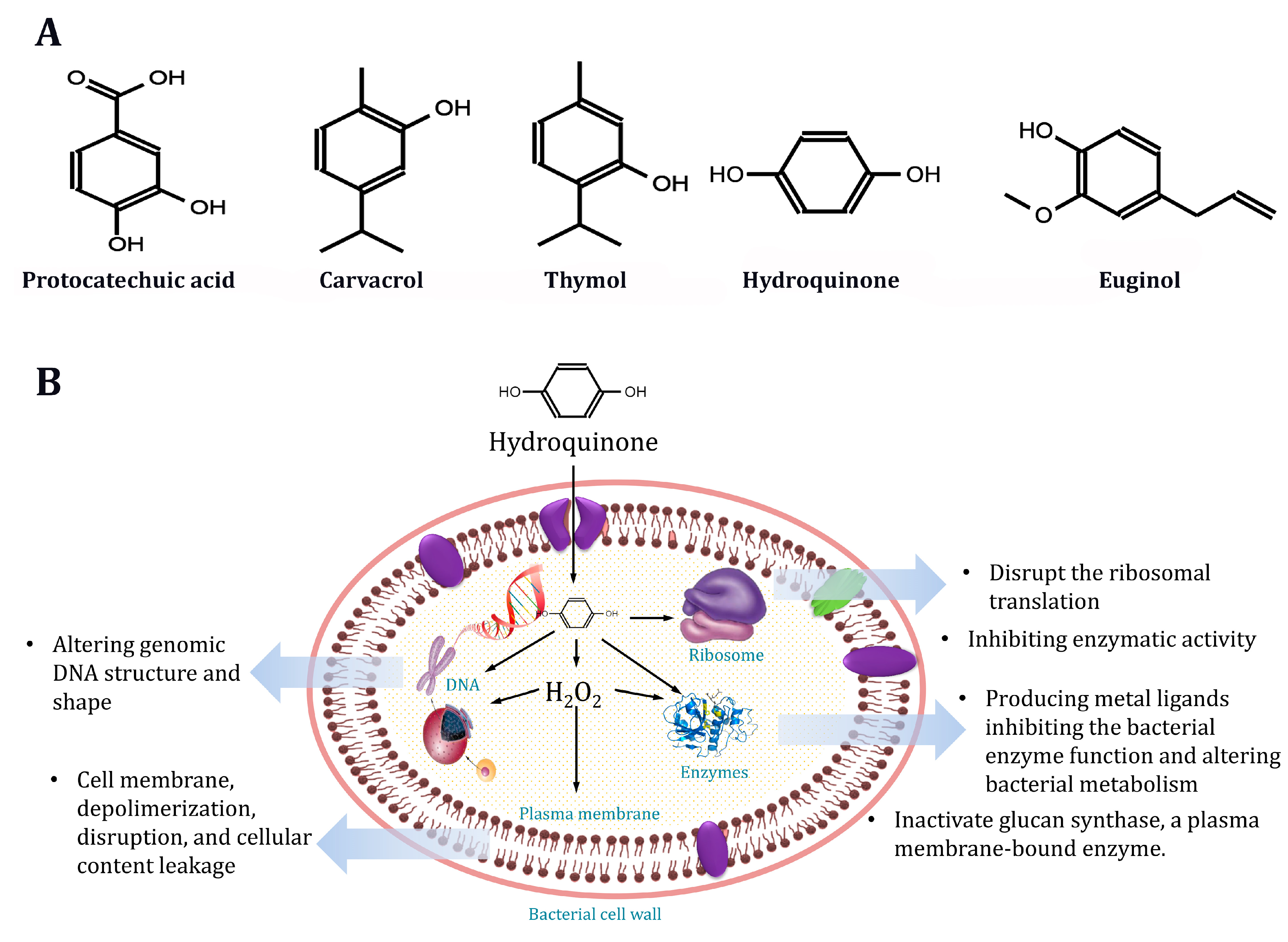 Molecules 28 06742 g006