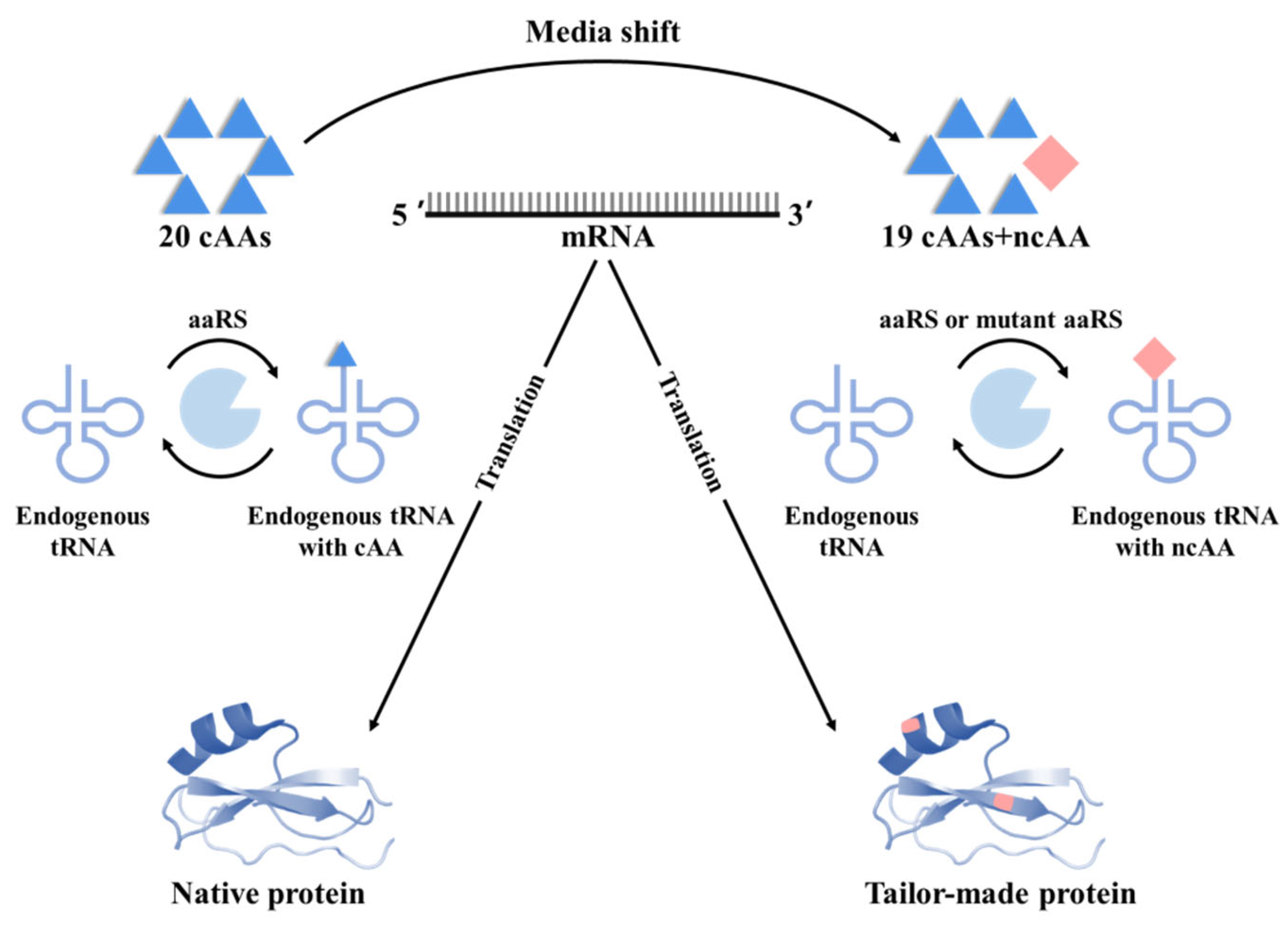 Molecules 28 06745 g003 Molecules 28 06745 g003