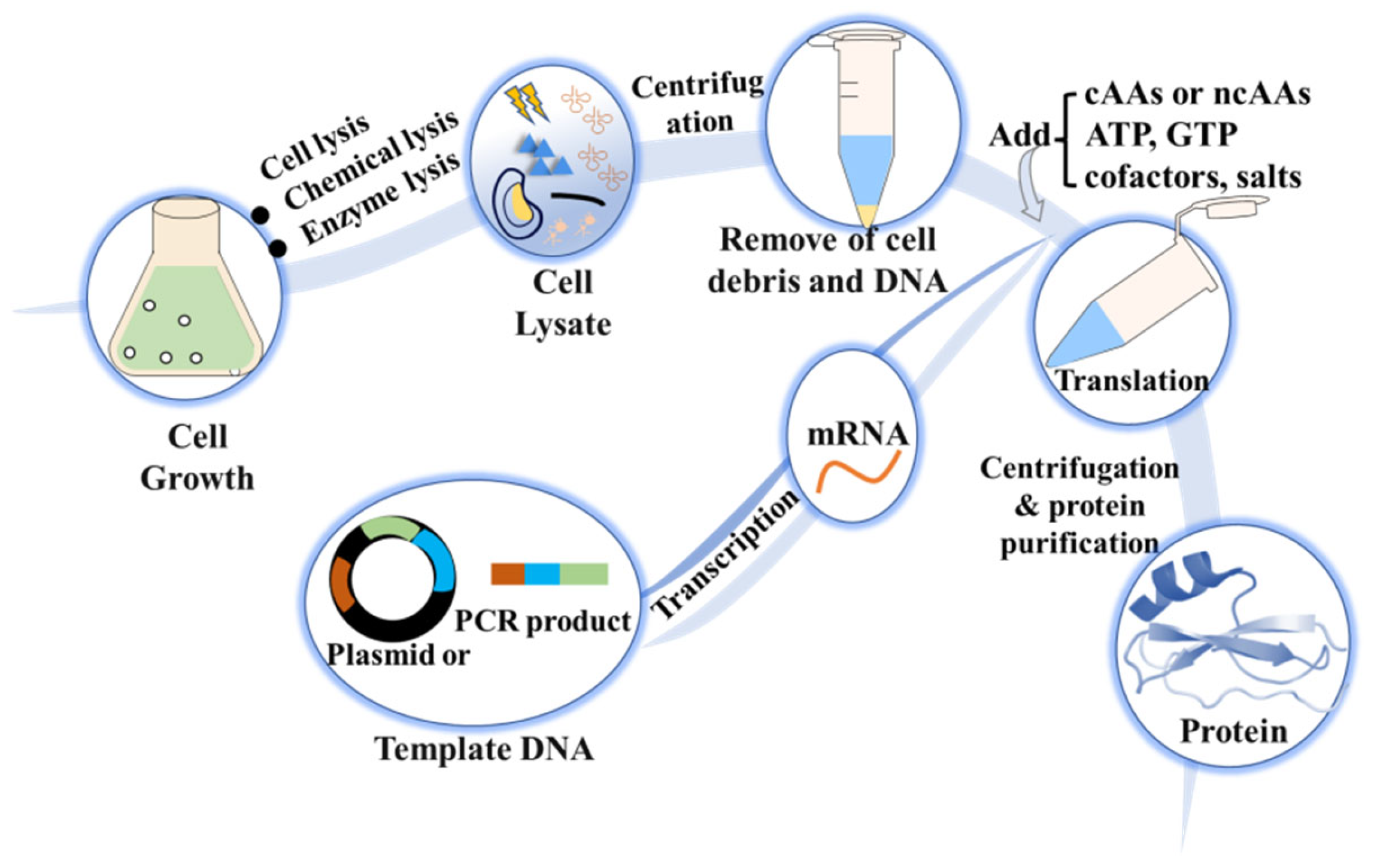 Molecules 28 06745 g005 Molecules 28 06745 g005