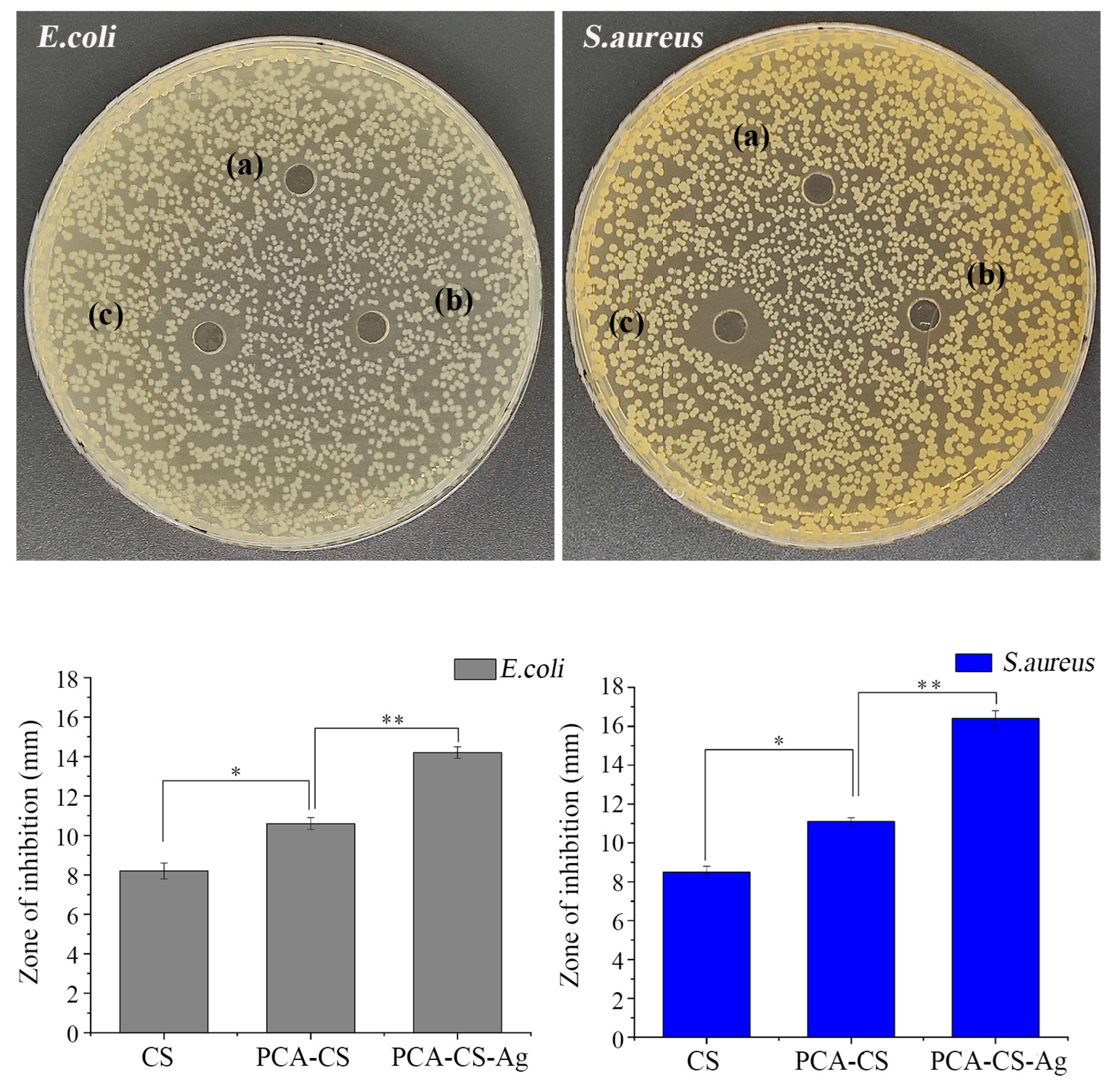 Molecules 28 06777 g009