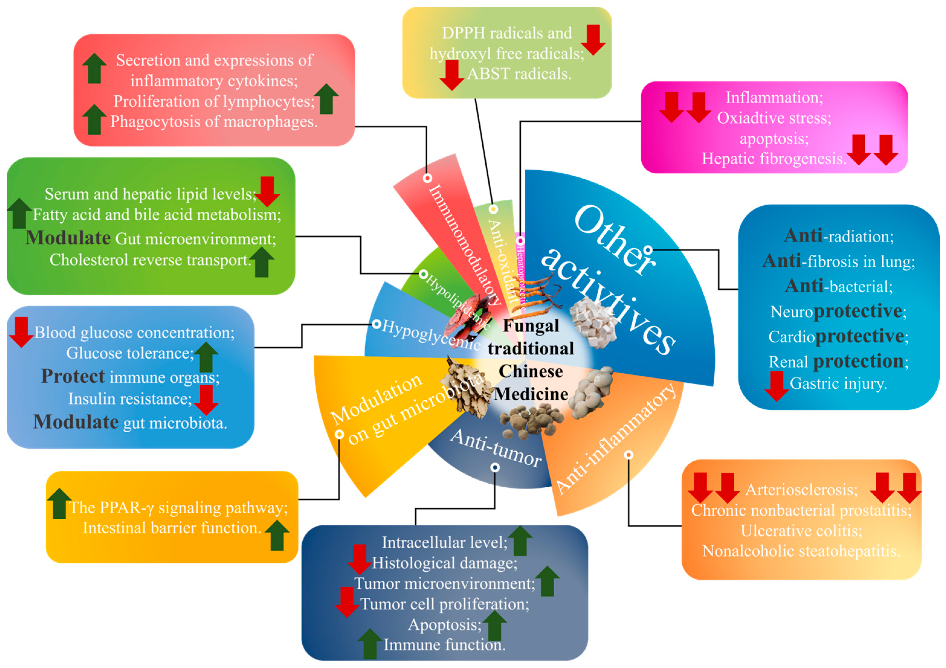 Molecules 28 06816 g002