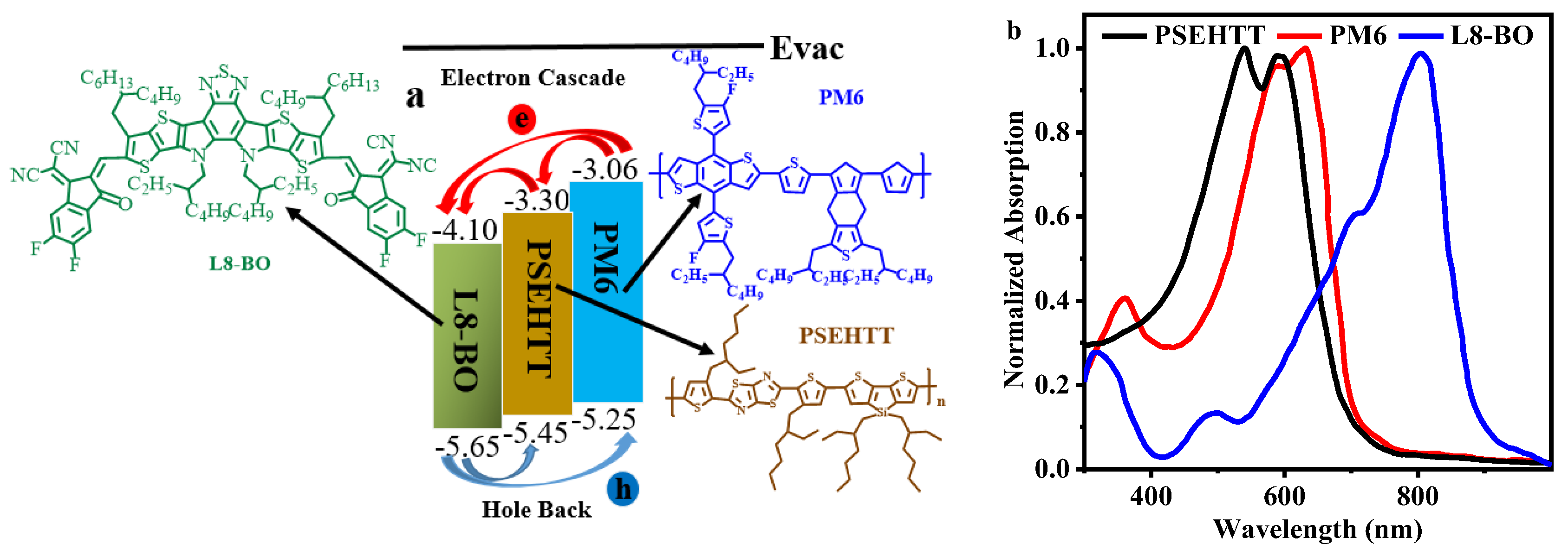 Molecules 28 06832 g001