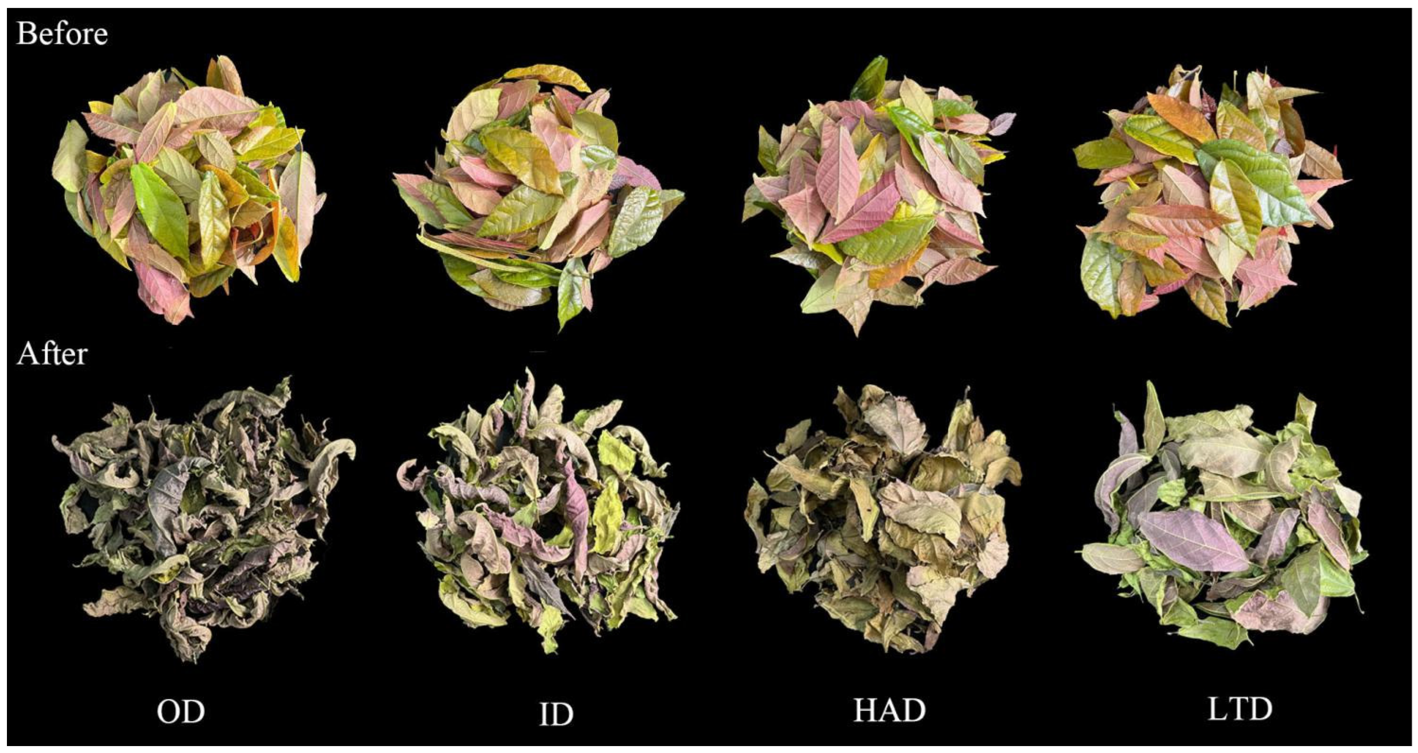 Molecules 28 06836 g001