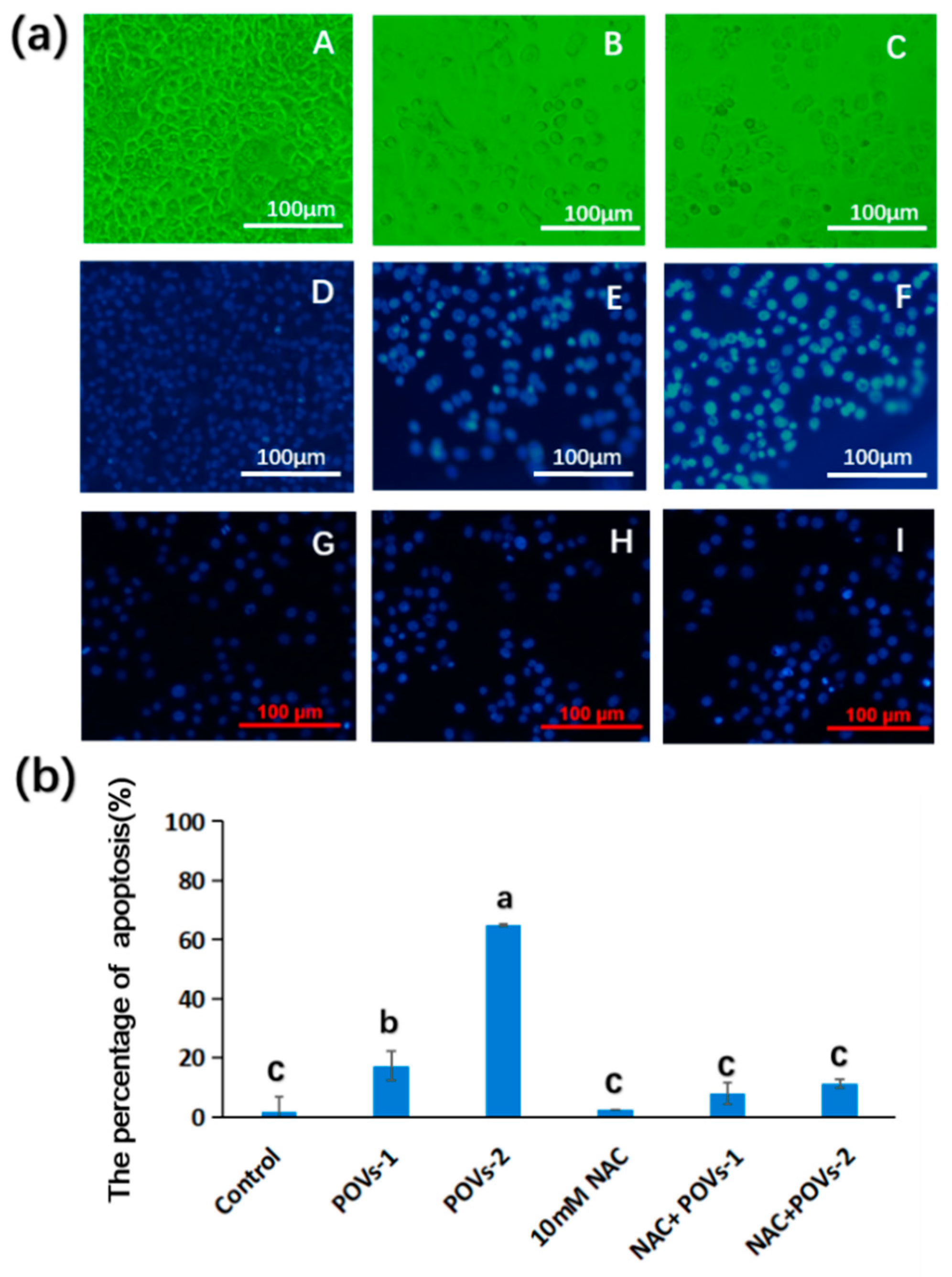 Molecules 28 06843 g004