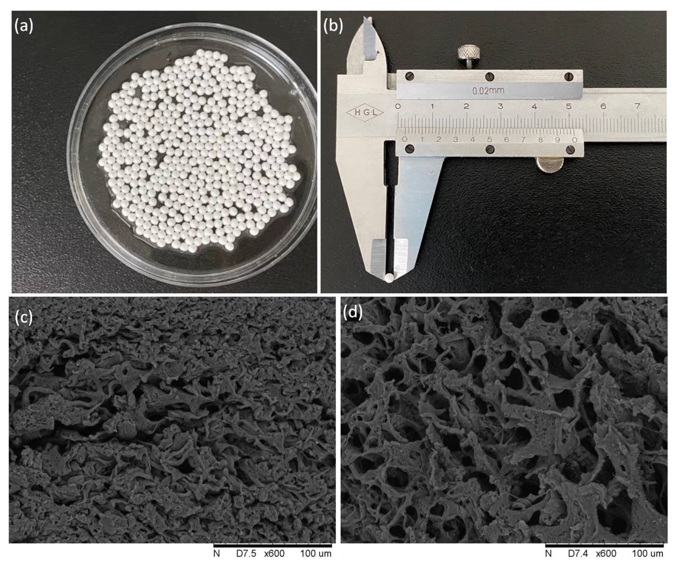 Molecules 28 06844 g001